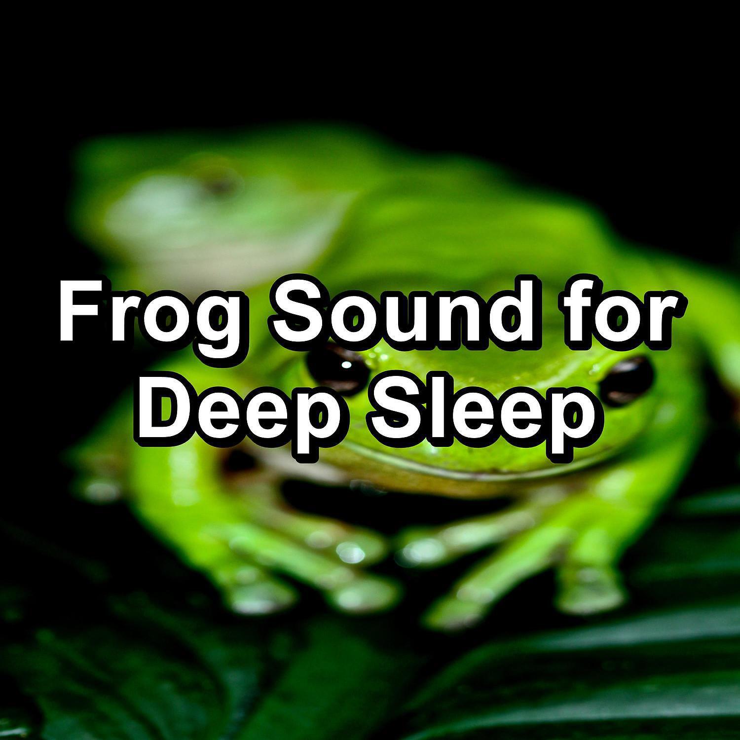 Релиз Frog Sound for Deep Sleep