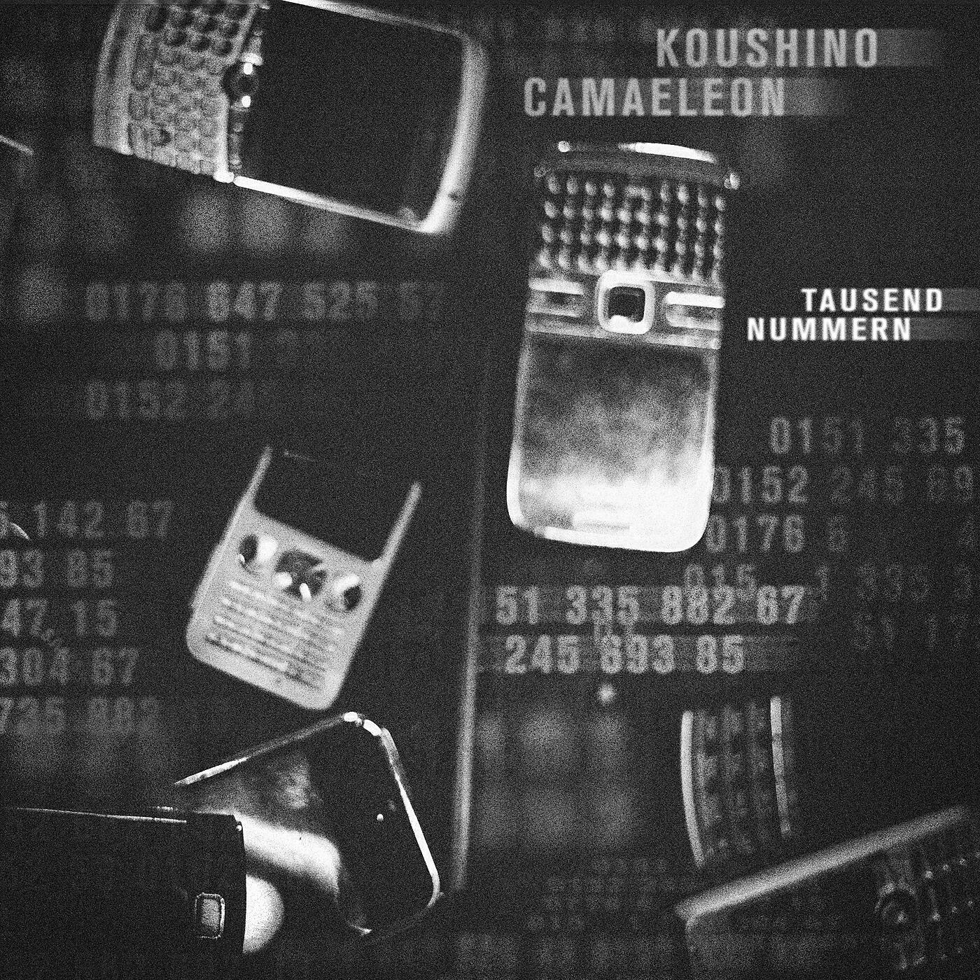 Релиз Tausend Nummern