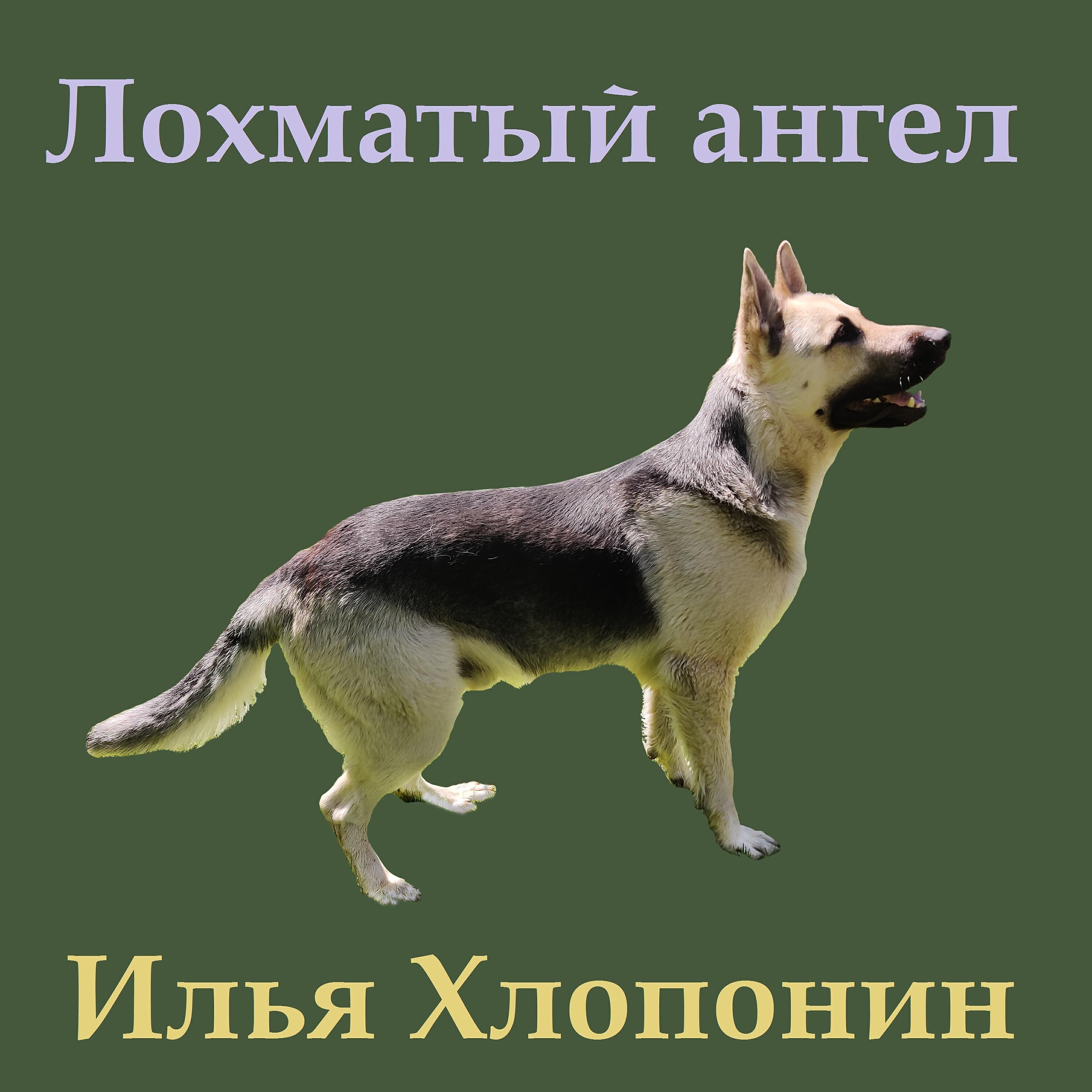 Релиз Лохматый ангел