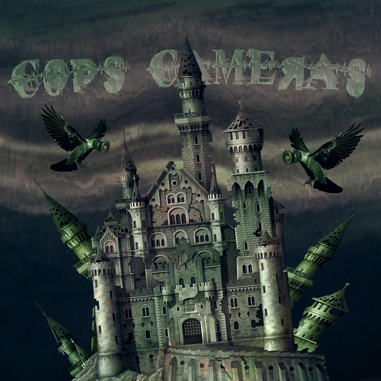 Релиз COPS-CAMERAS