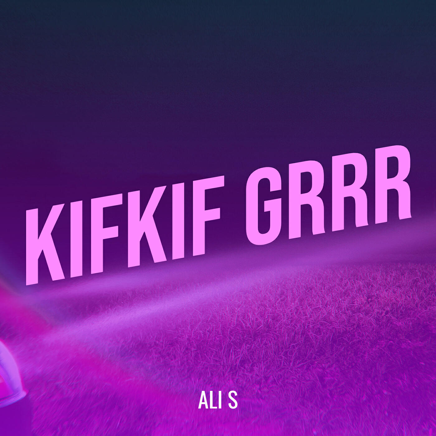 ALI S