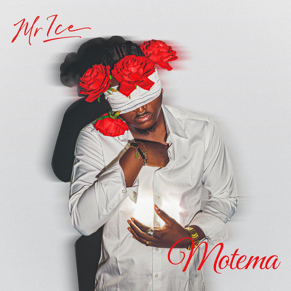 Релиз Motema