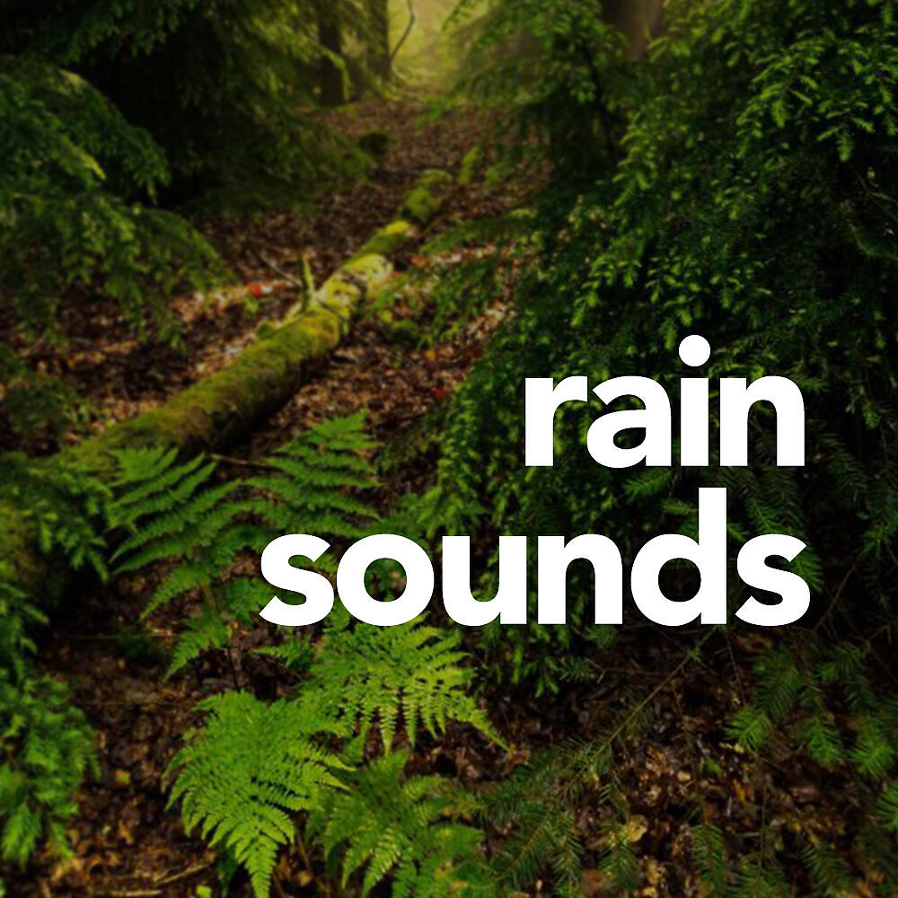 Релиз Rain Sounds