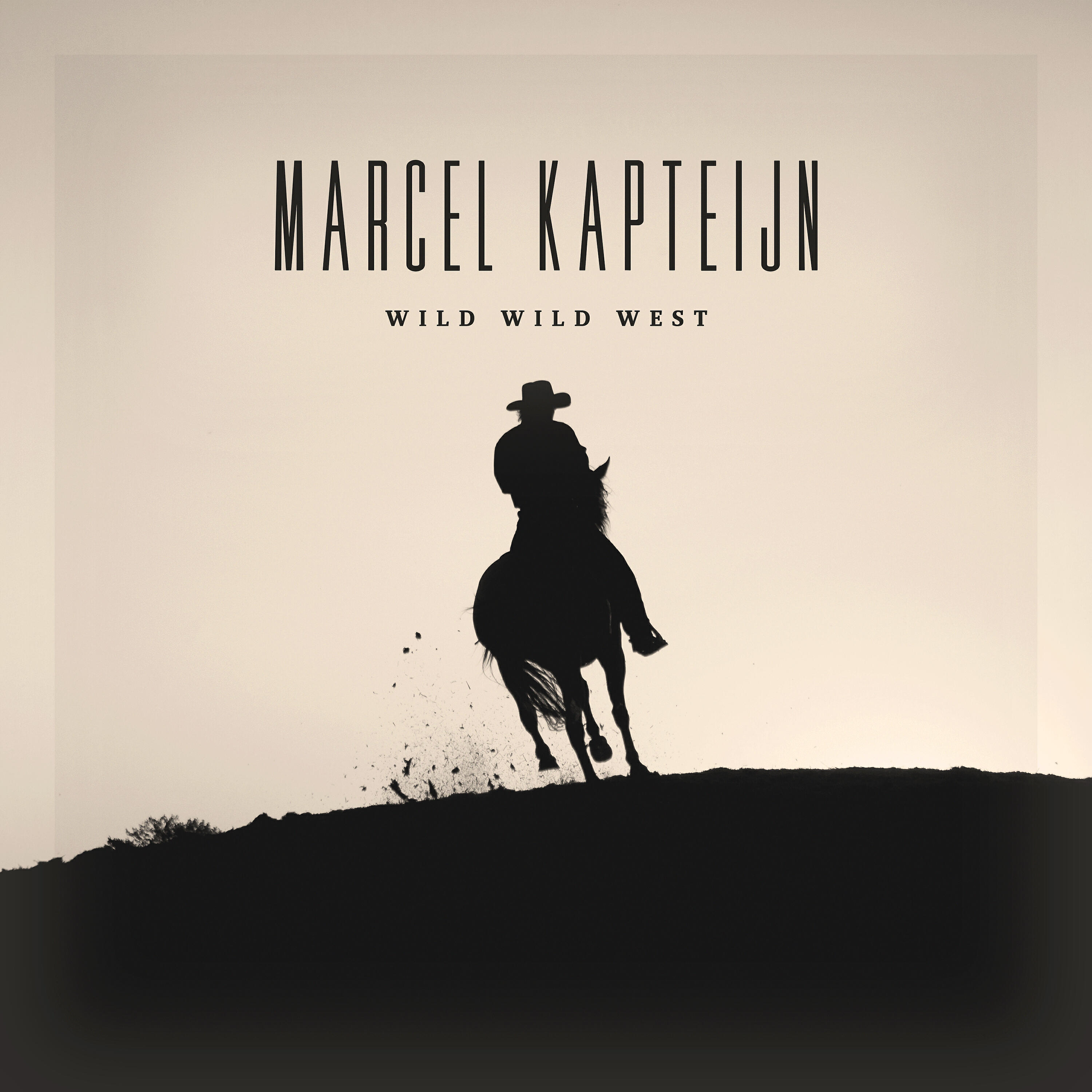 Релиз Wild Wild West