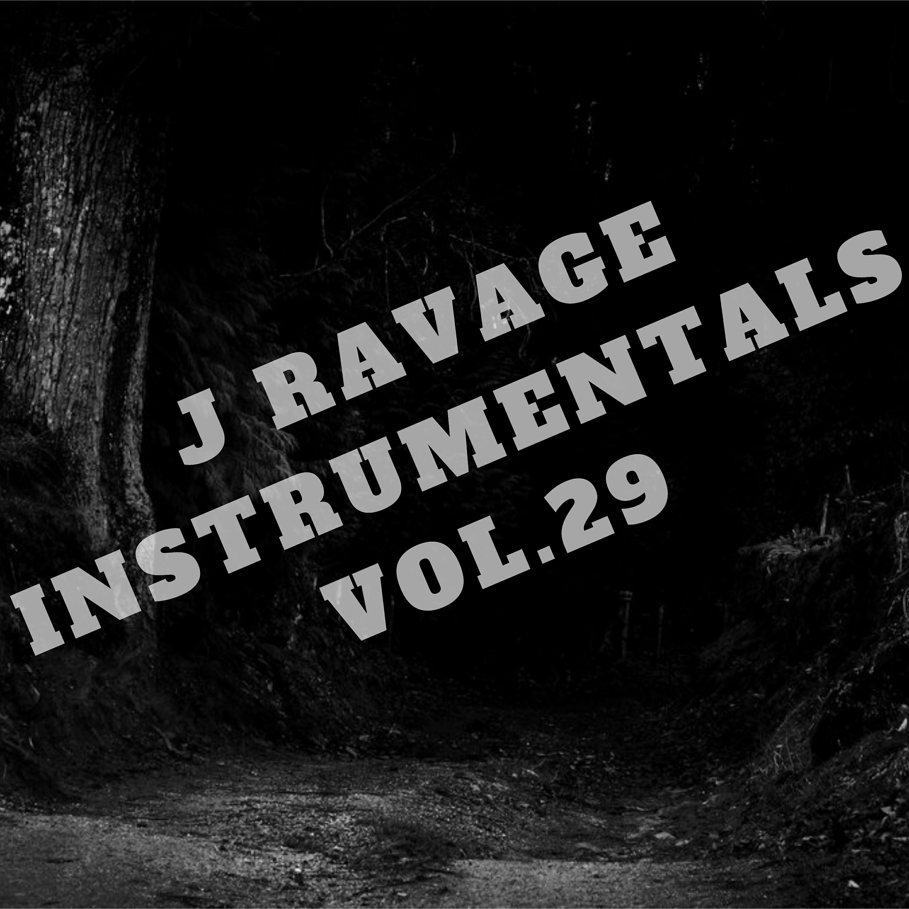 Релиз J Ravage Instrumentals, Vol. 29