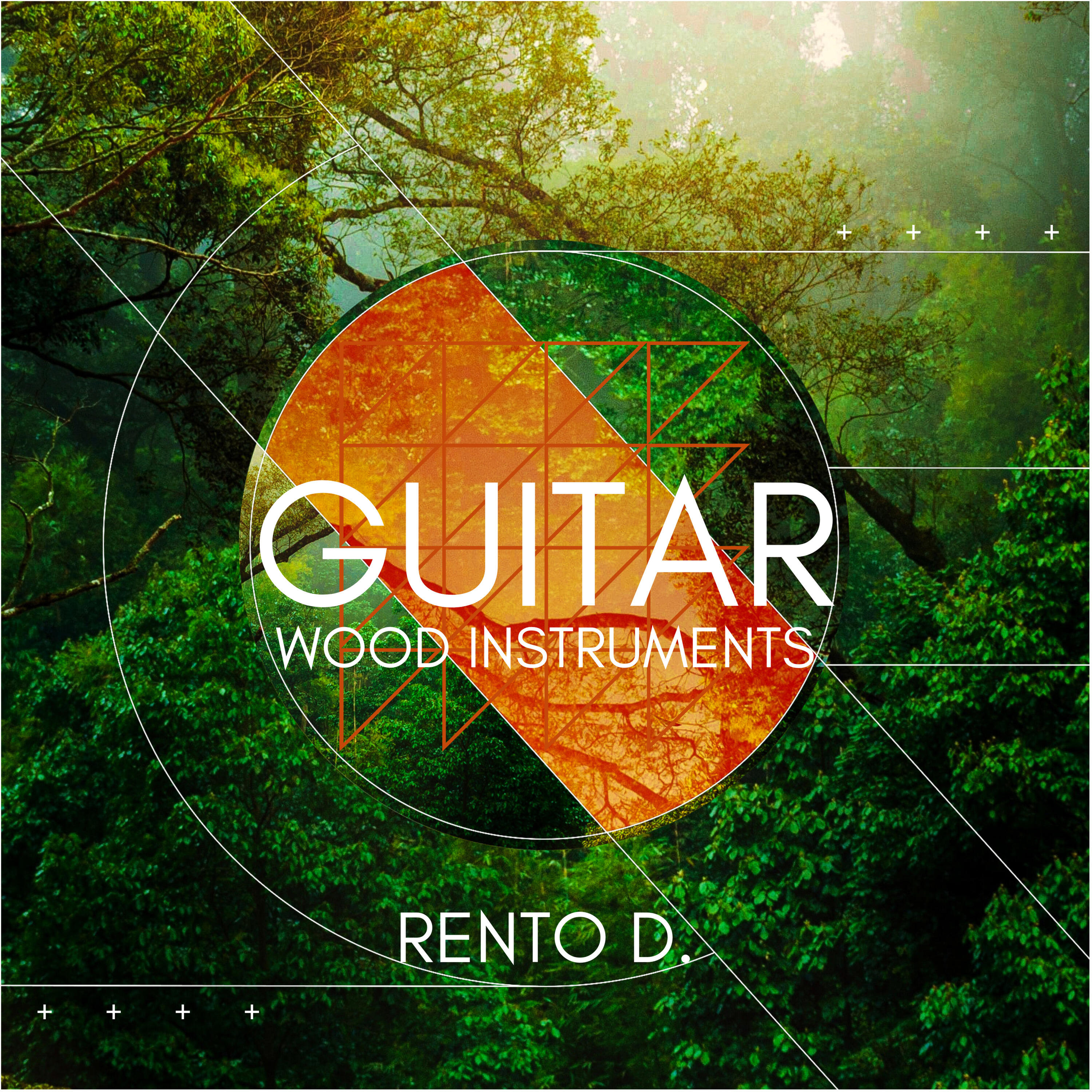 Релиз Guitar and Wood Instruments