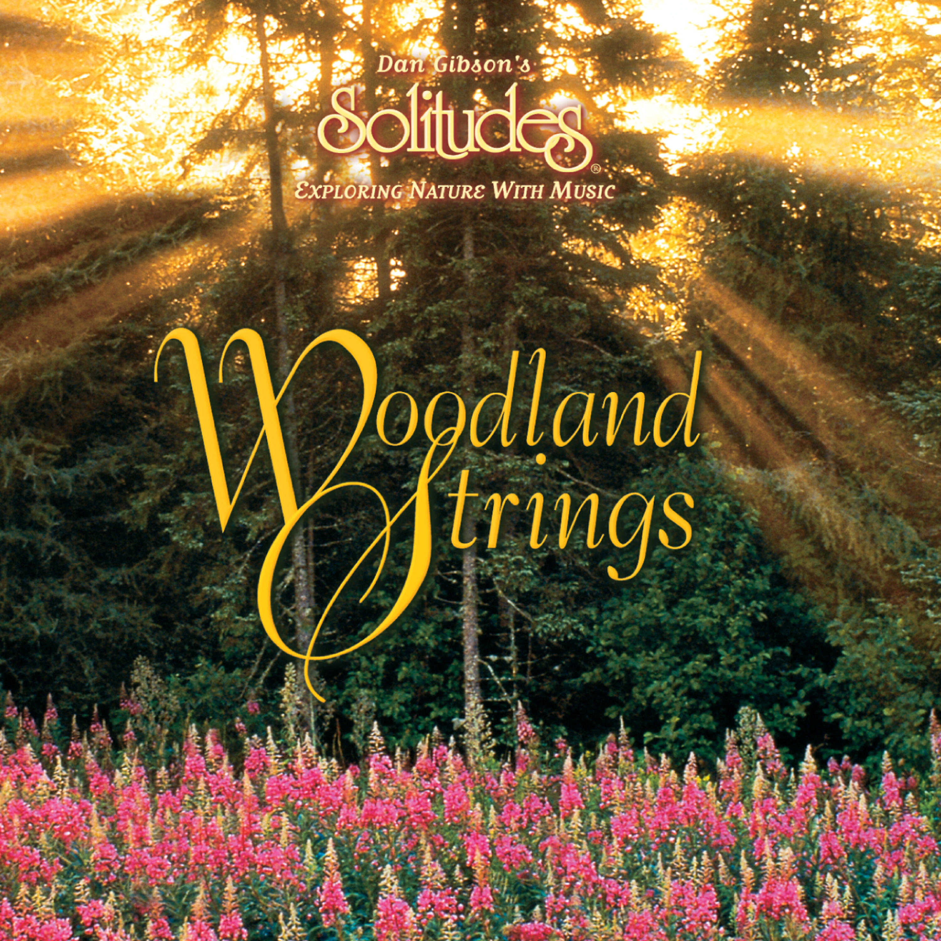 Постер альбома Woodland Strings