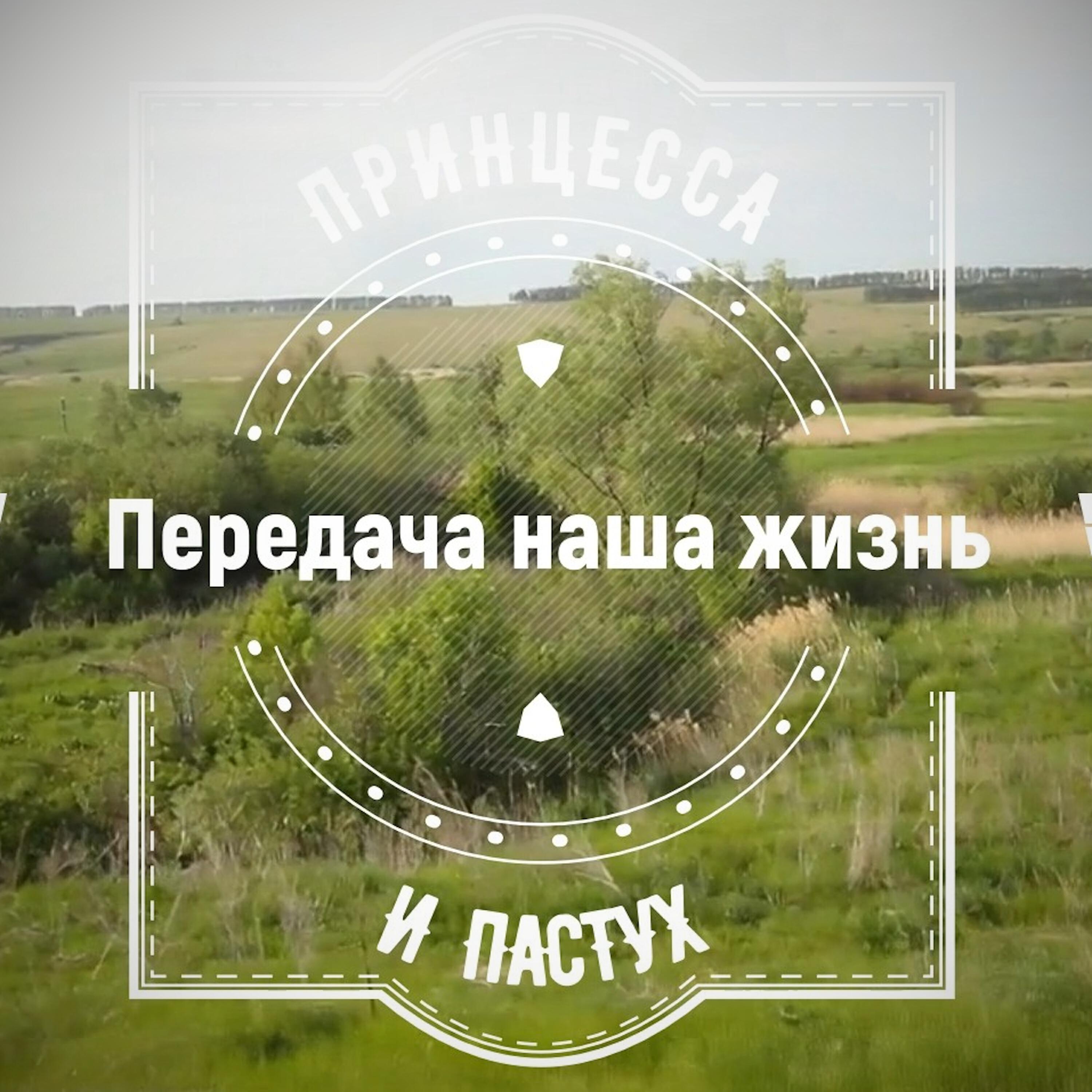 Релиз Передача наша жизнь