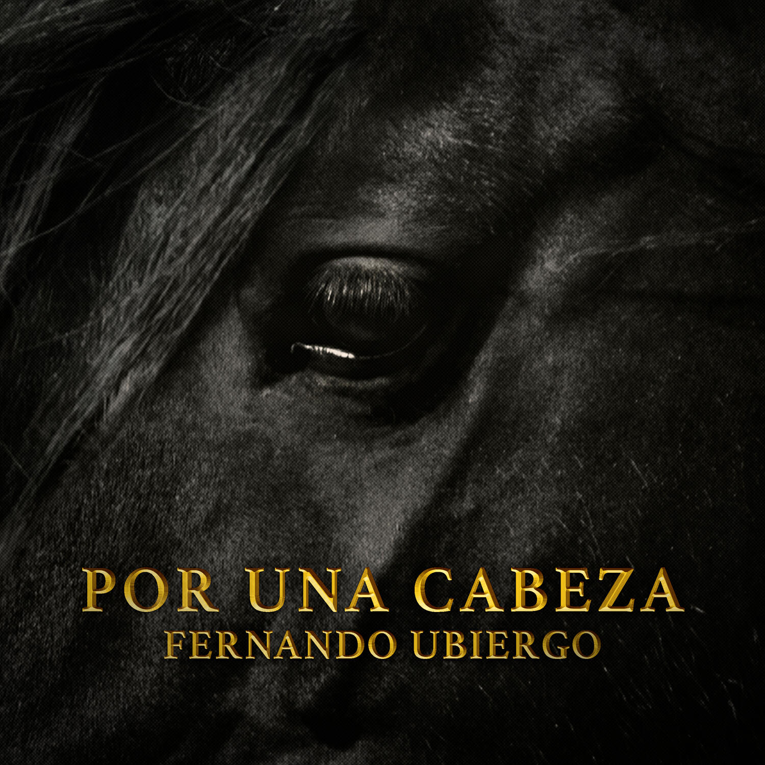 Релиз Por una Cabeza