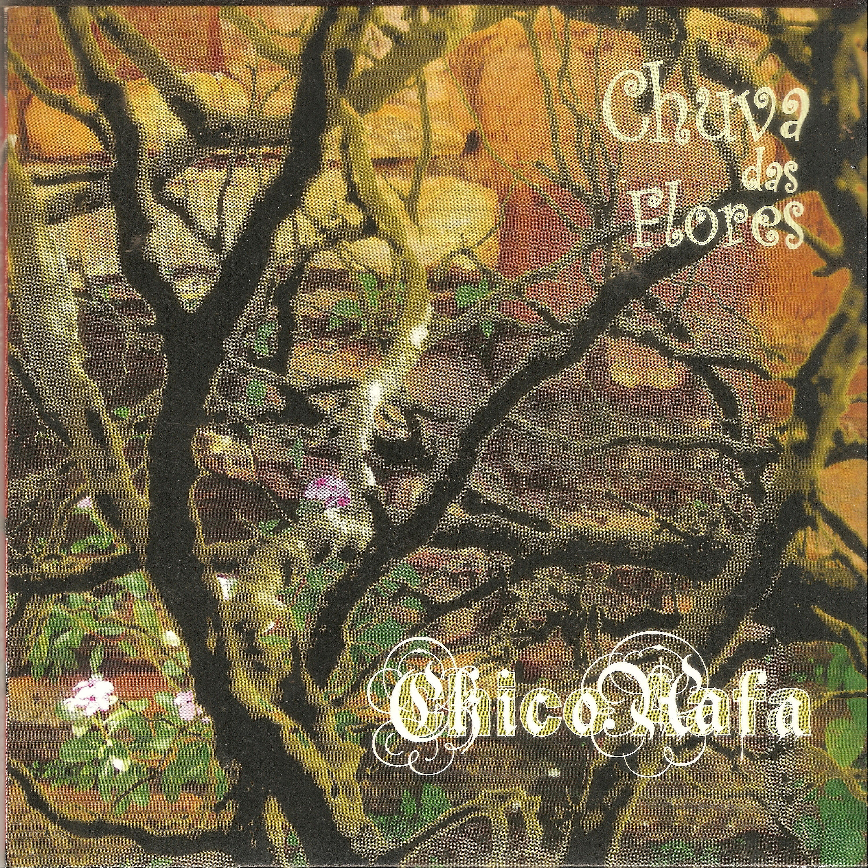 Chico Aafa