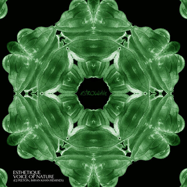 Релиз Voice of Nature
