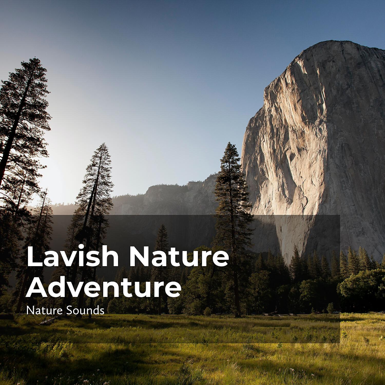 Релиз Lavish Nature Adventure