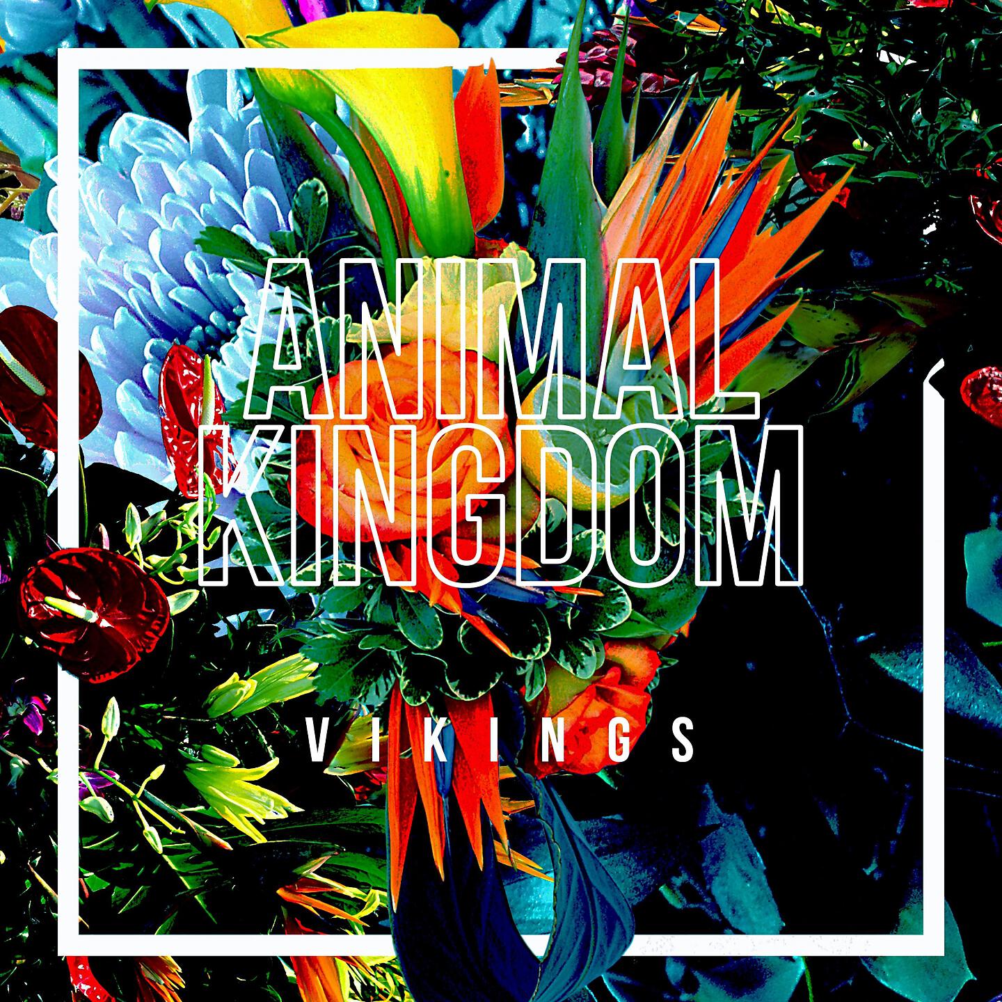 Релиз Animal Kingdom