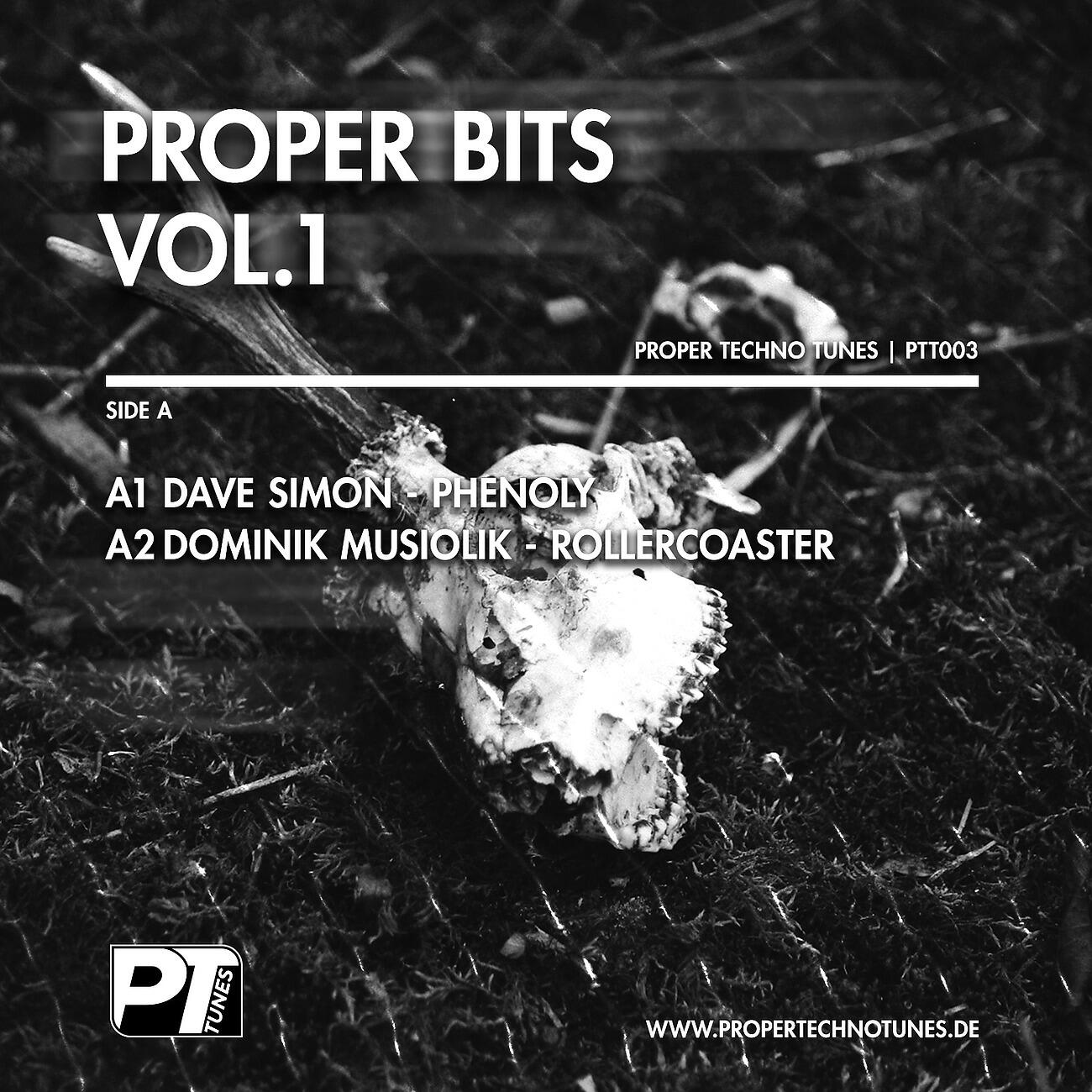 Релиз Proper Bits Vol.1