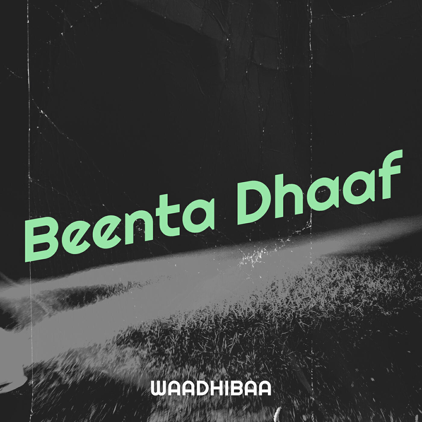 WAADHIBAA