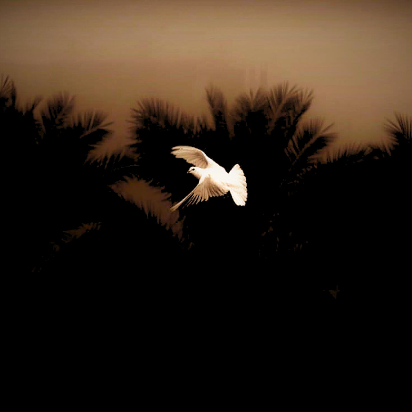 Релиз Inspiration Humming