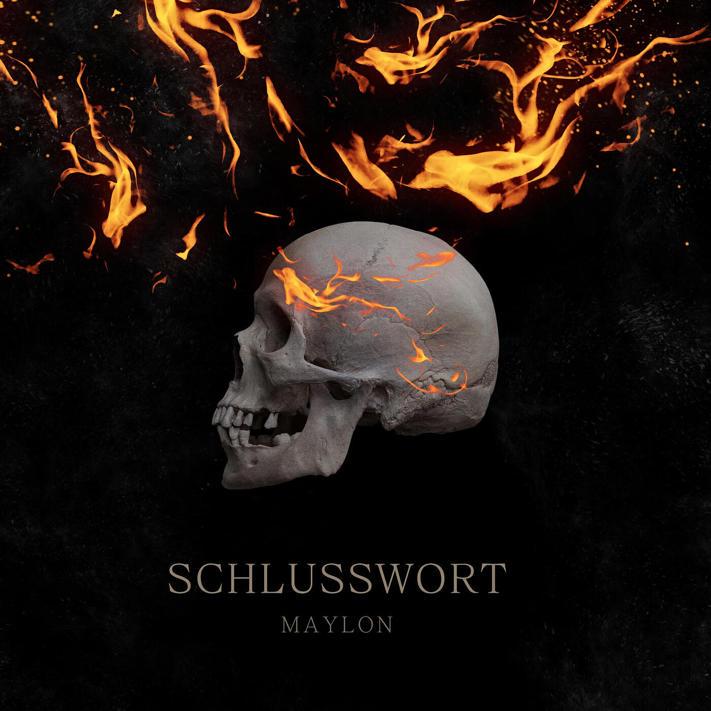 Релиз Schlusswort