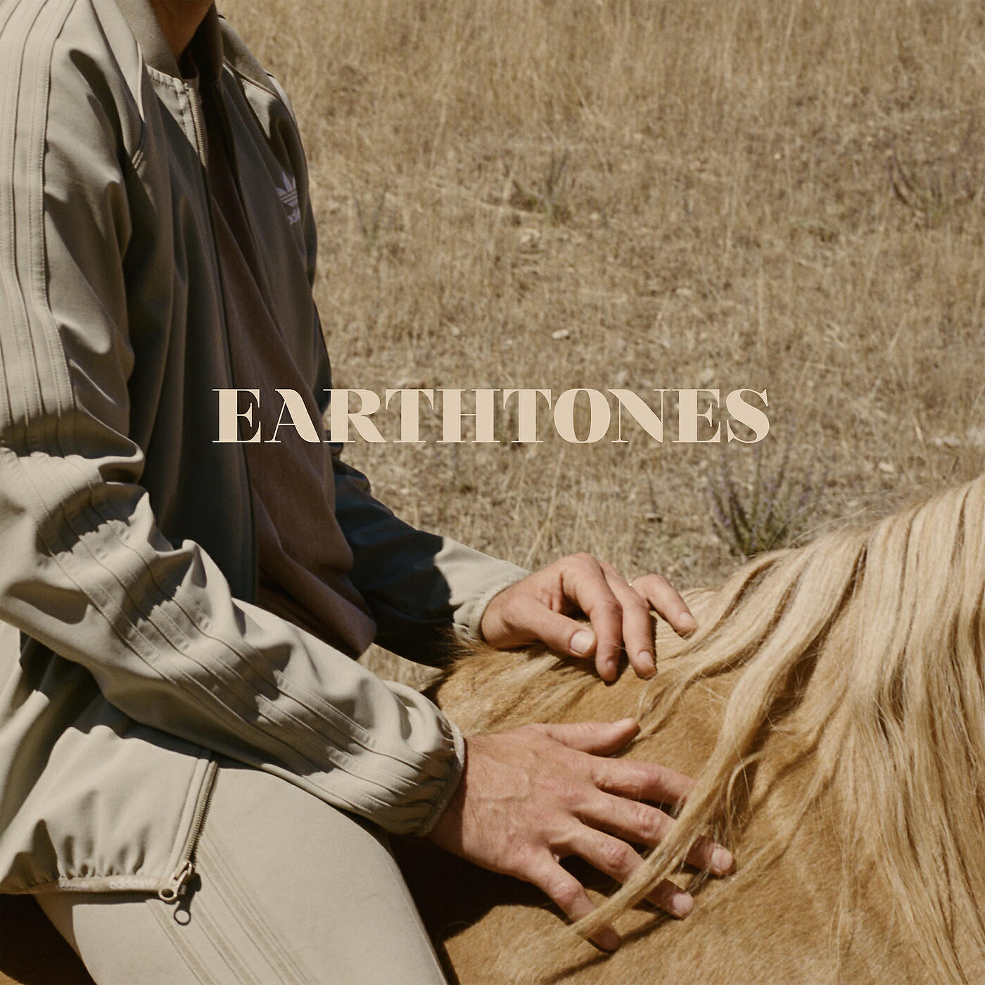 Релиз Earthtones