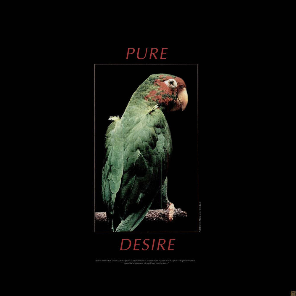Релиз Pure Desire
