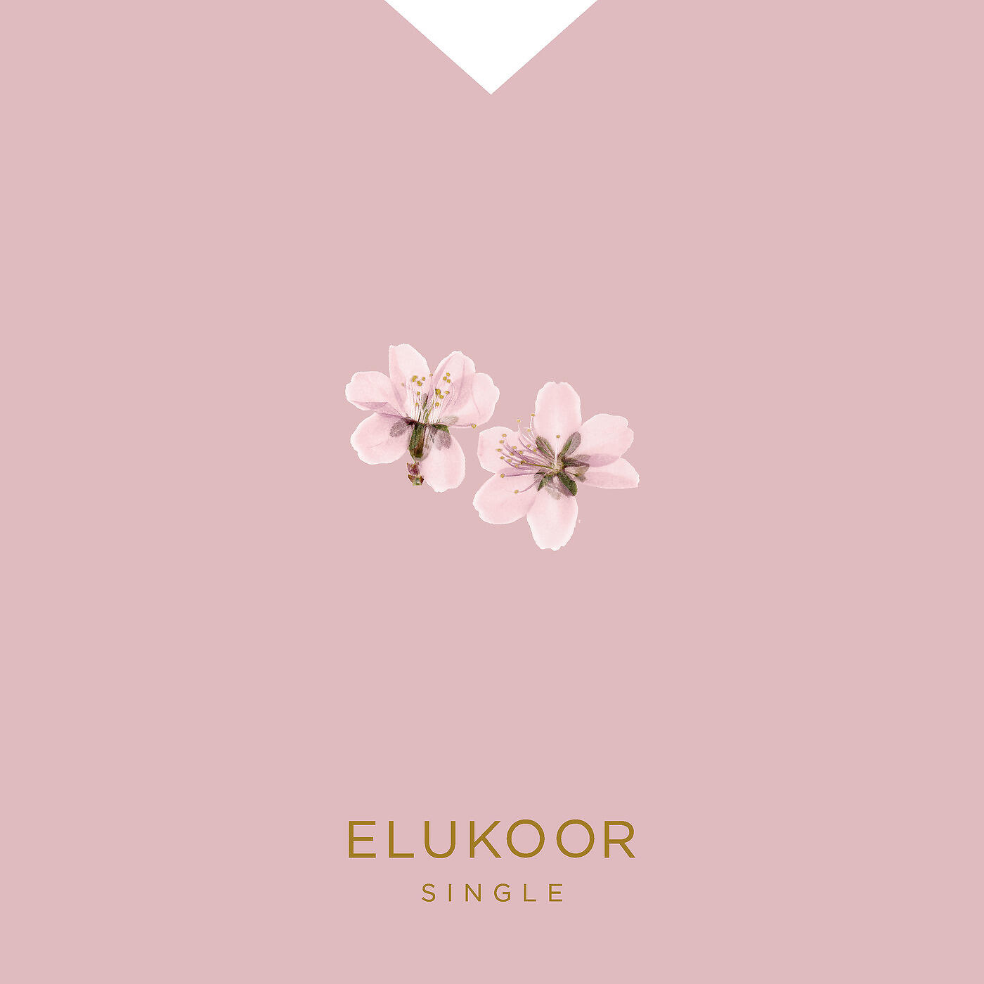 Релиз Elukoor