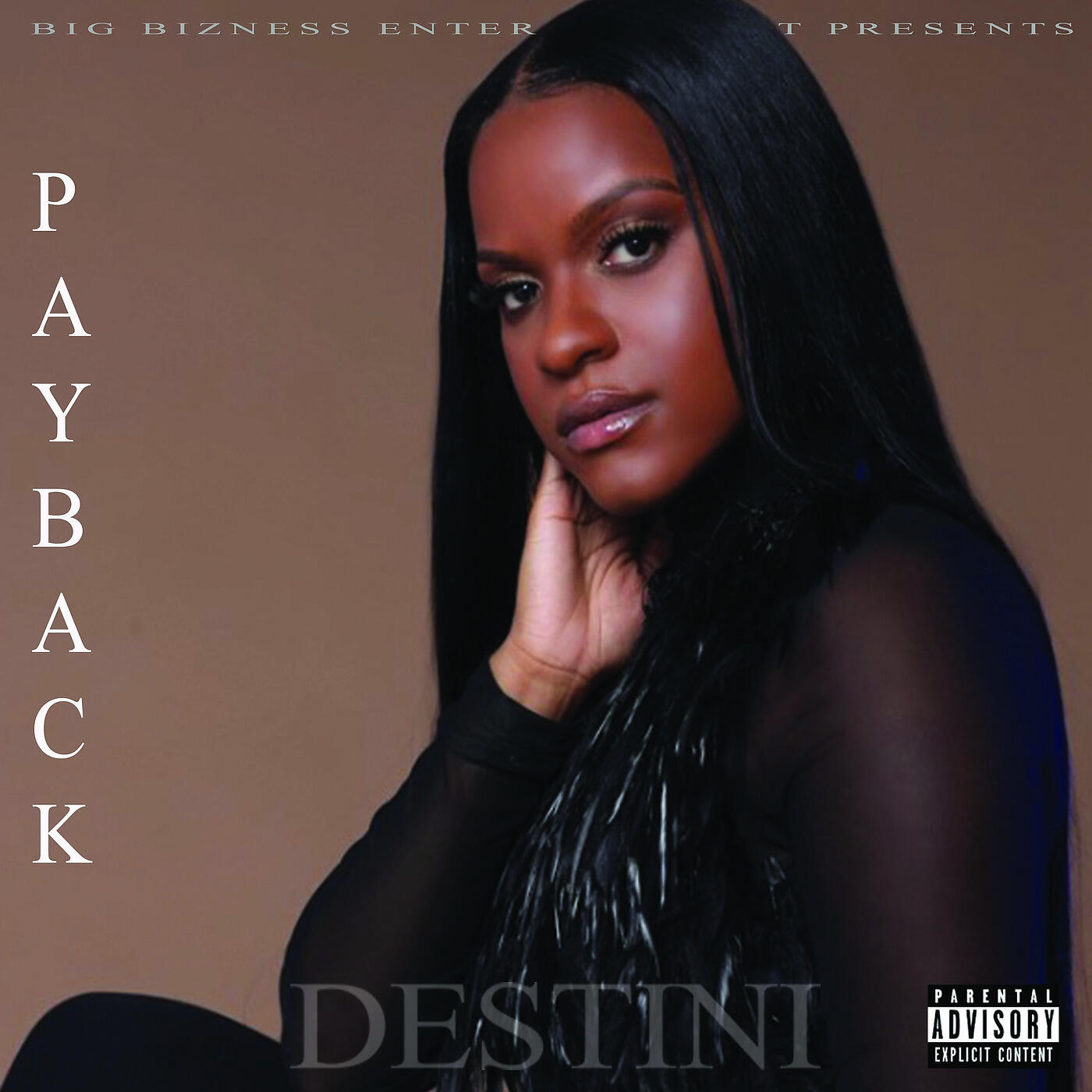 Релиз Payback