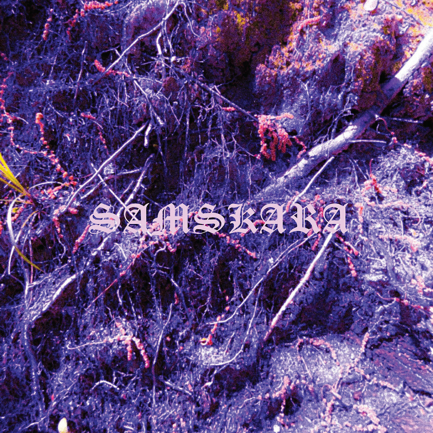 Релиз Samskara