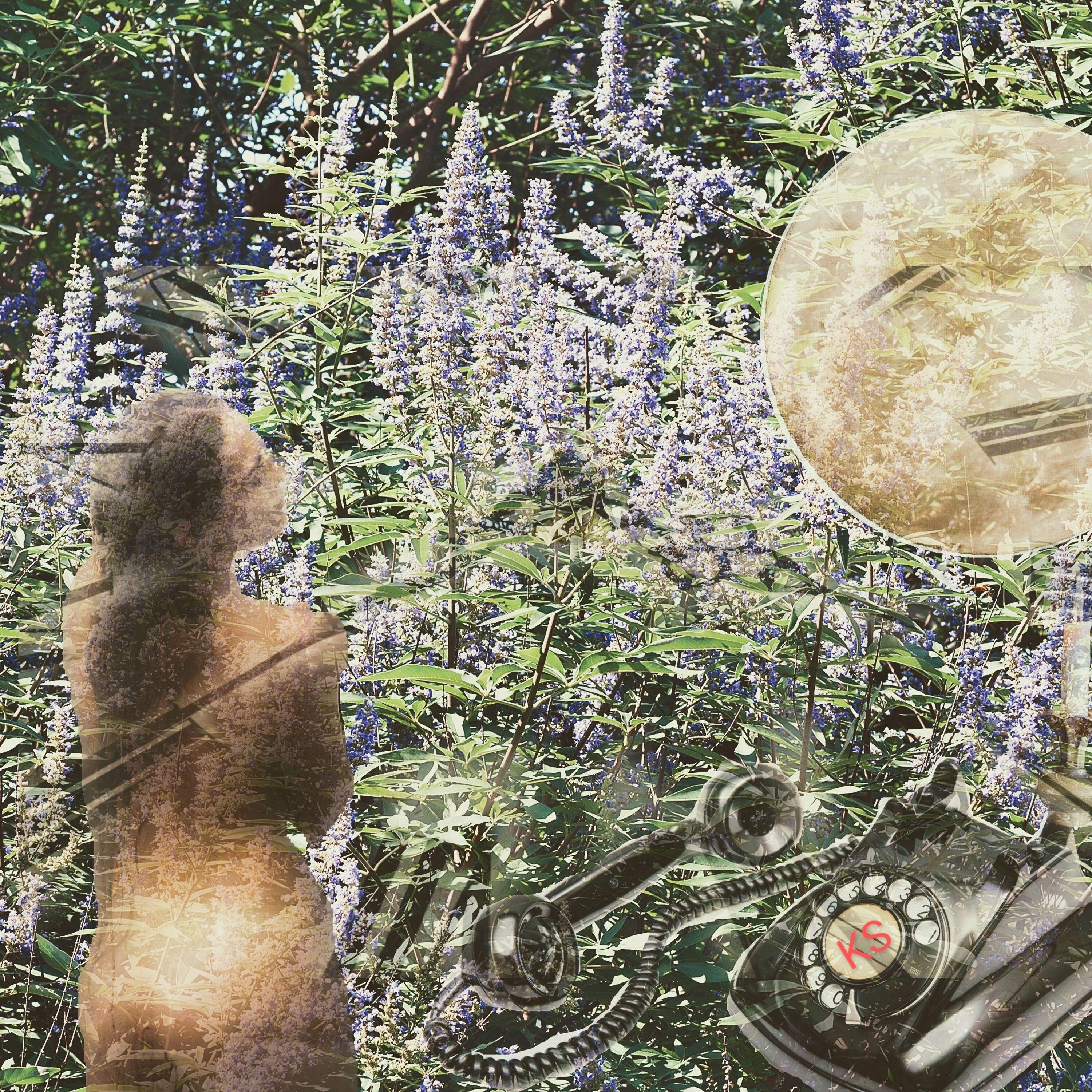 Релиз Tаинственный сад