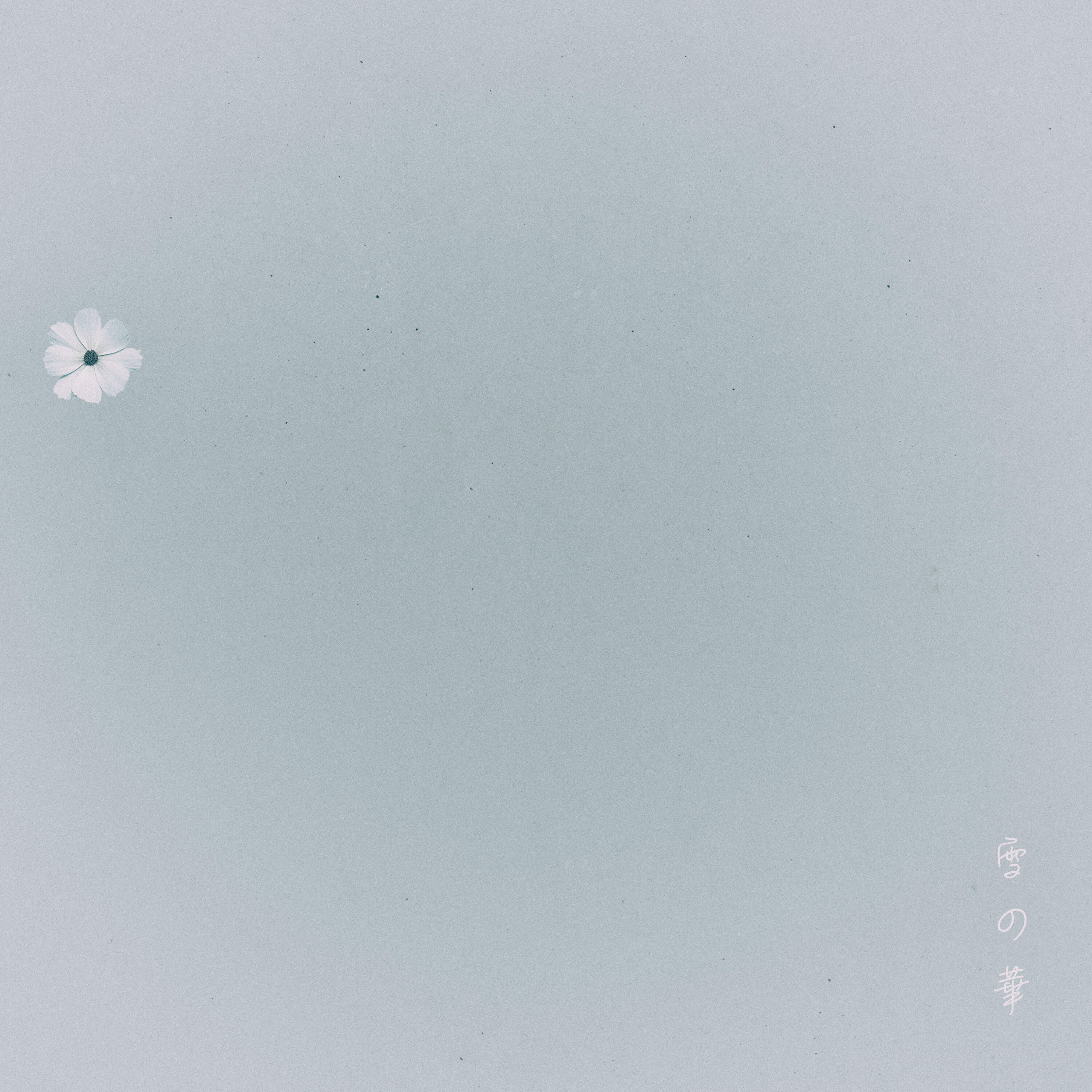 Релиз Snow Flower