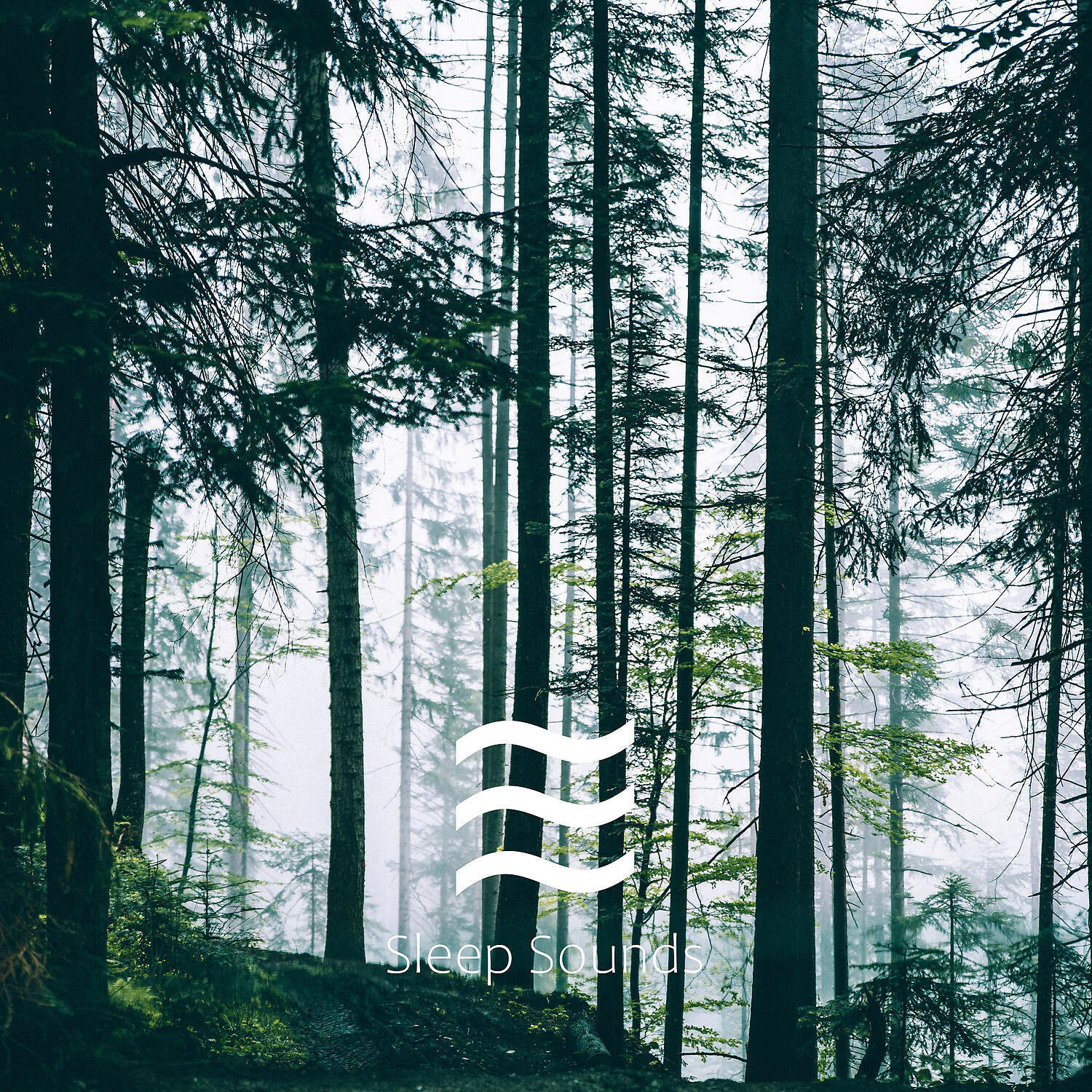 Sounds Shushers for Babies