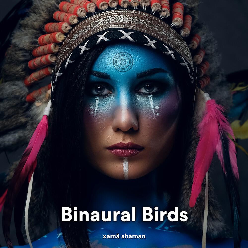 Релиз Binaural Birds