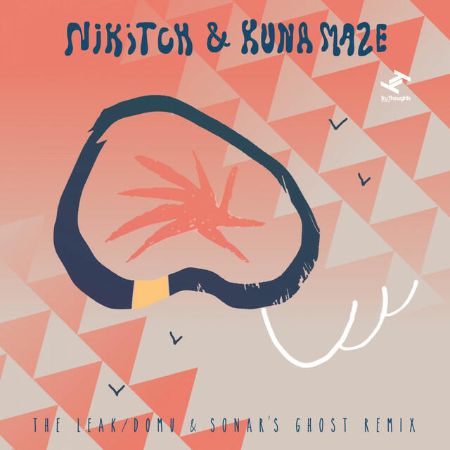 Релиз The Leak / Domu & Sonar's Ghost Remix