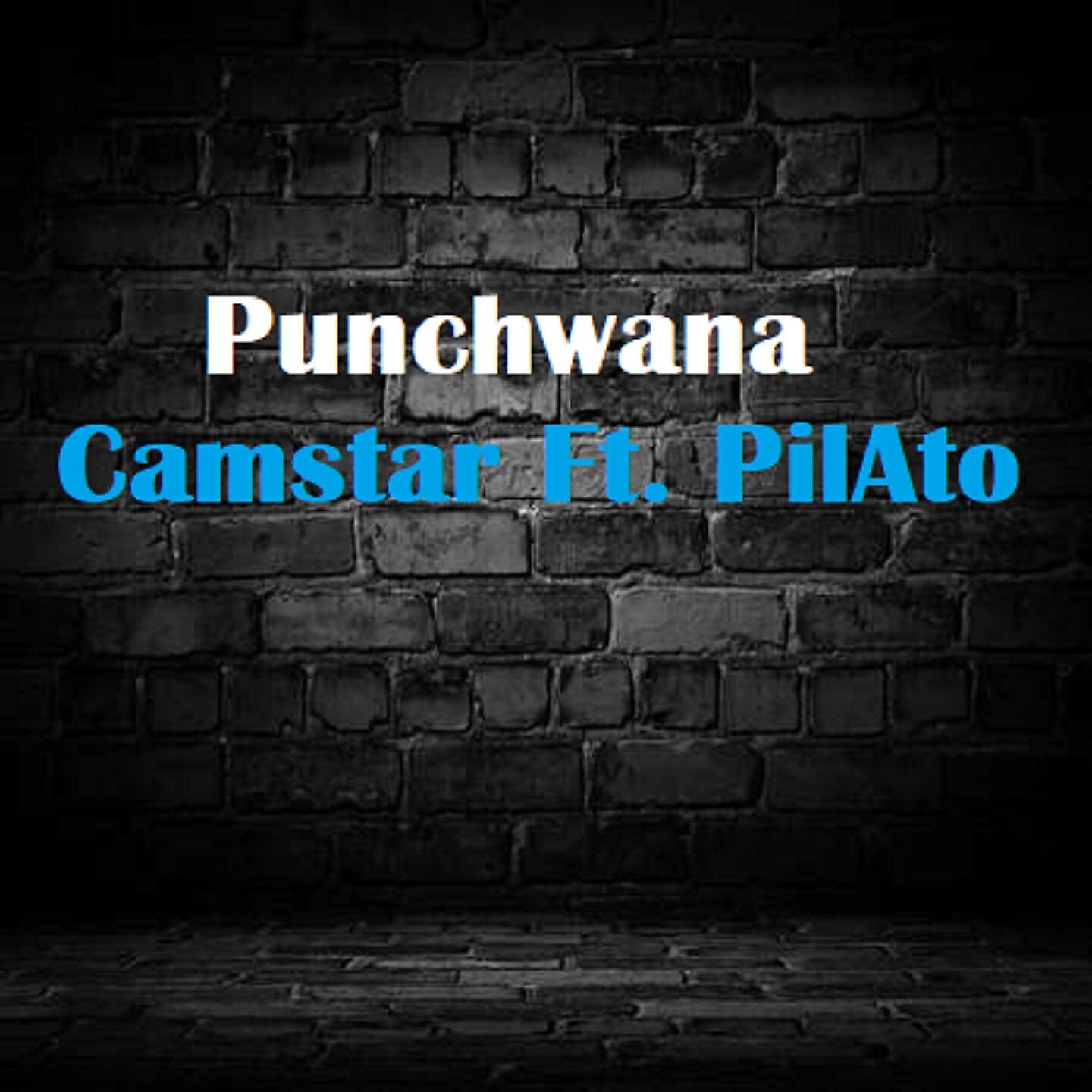 Релиз Punchwana