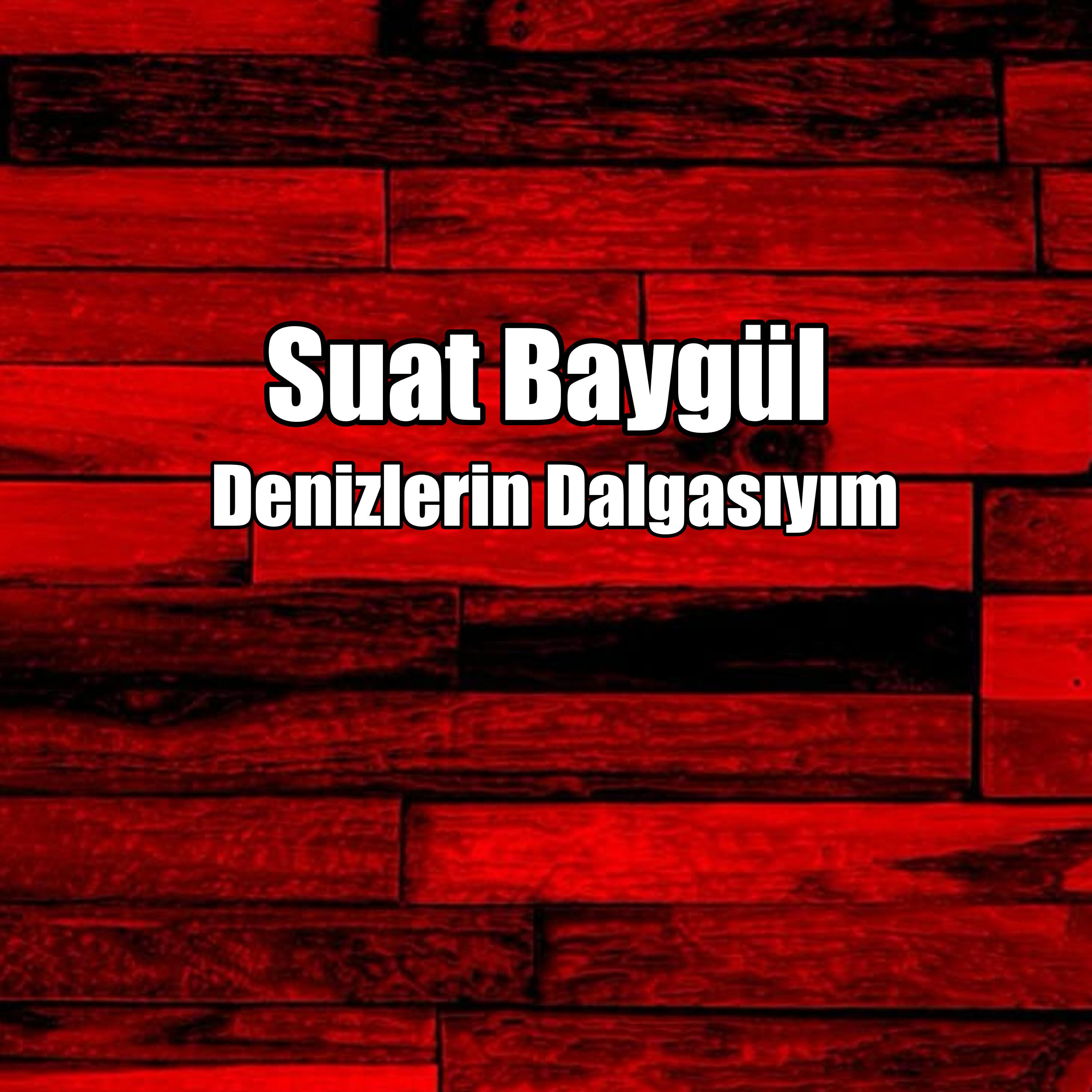 Релиз Denizlerin Dalgasıyım