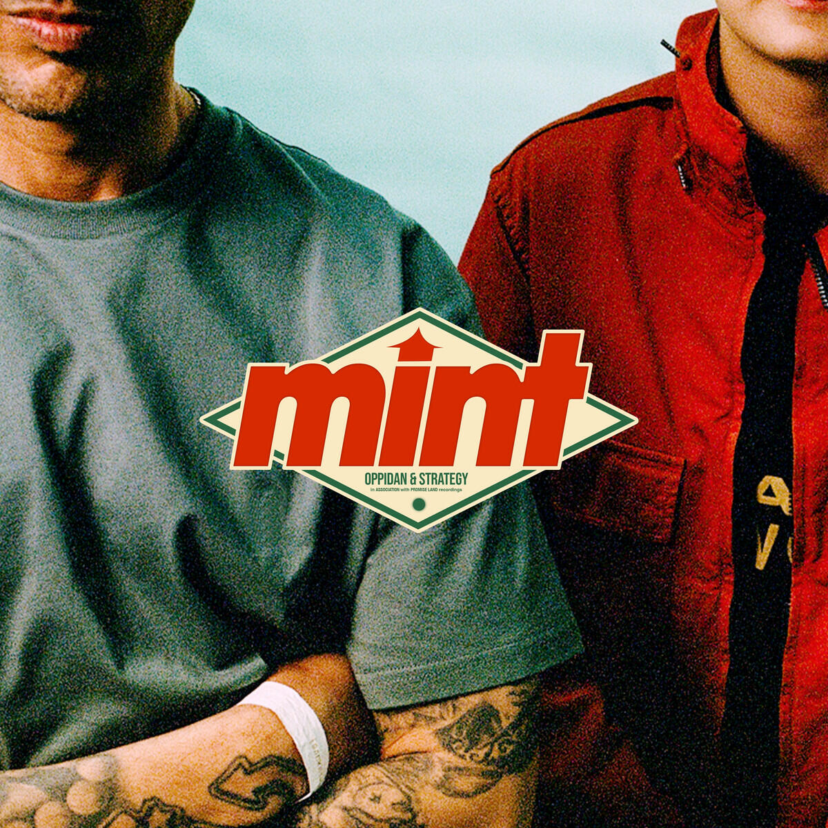 Релиз mint