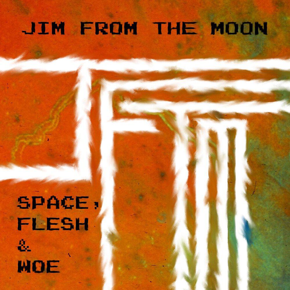 Постер альбома Space, Flesh & Woe
