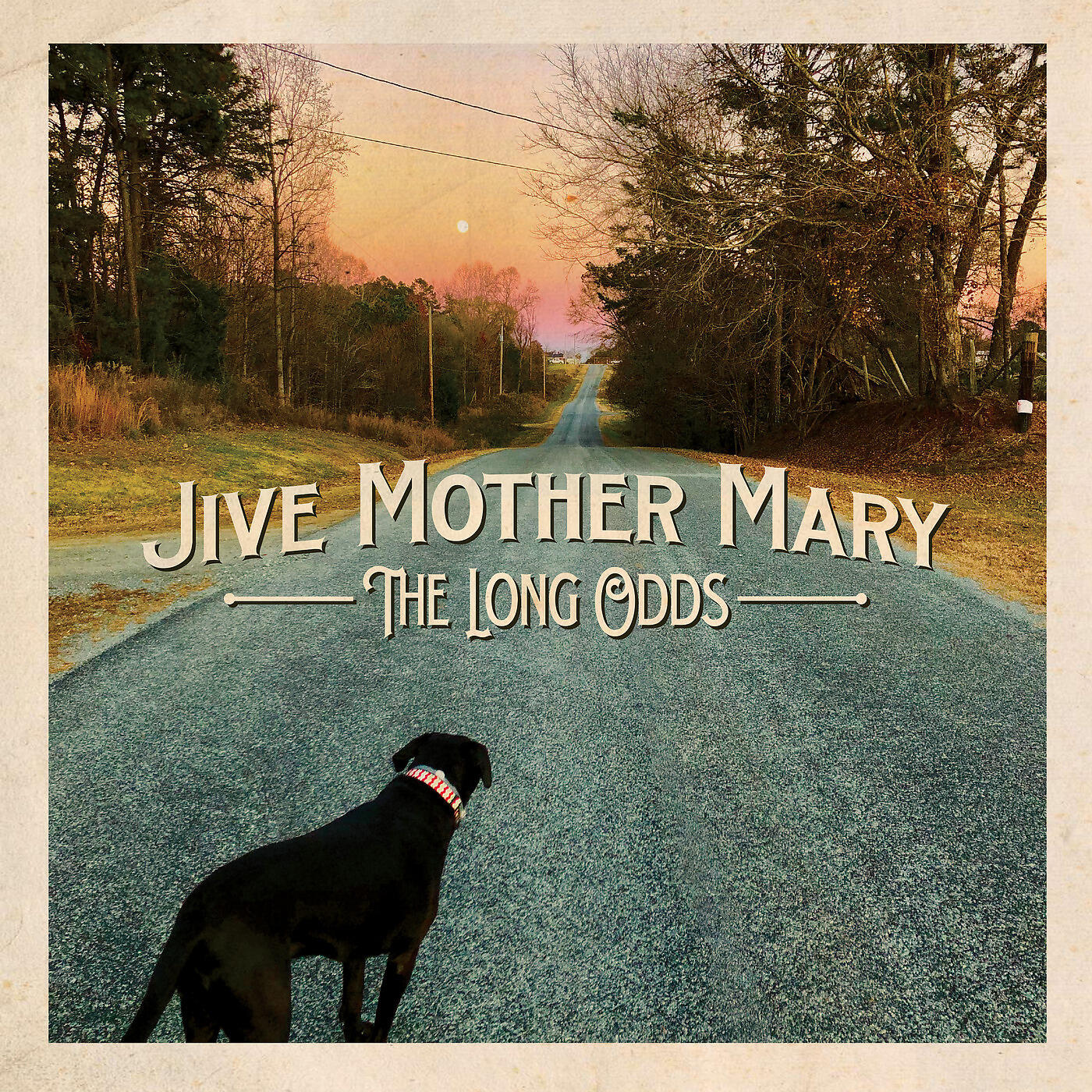 Релиз The Long Odds