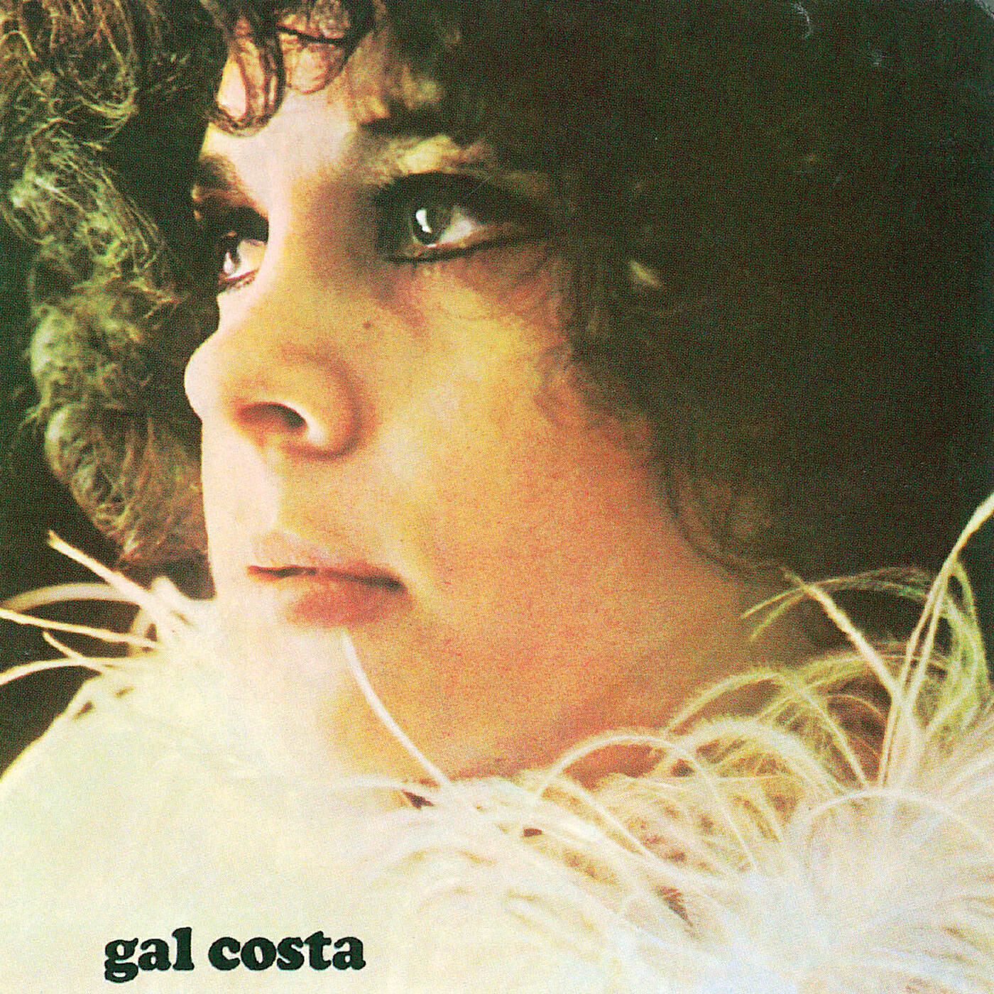 Релиз Gal Costa