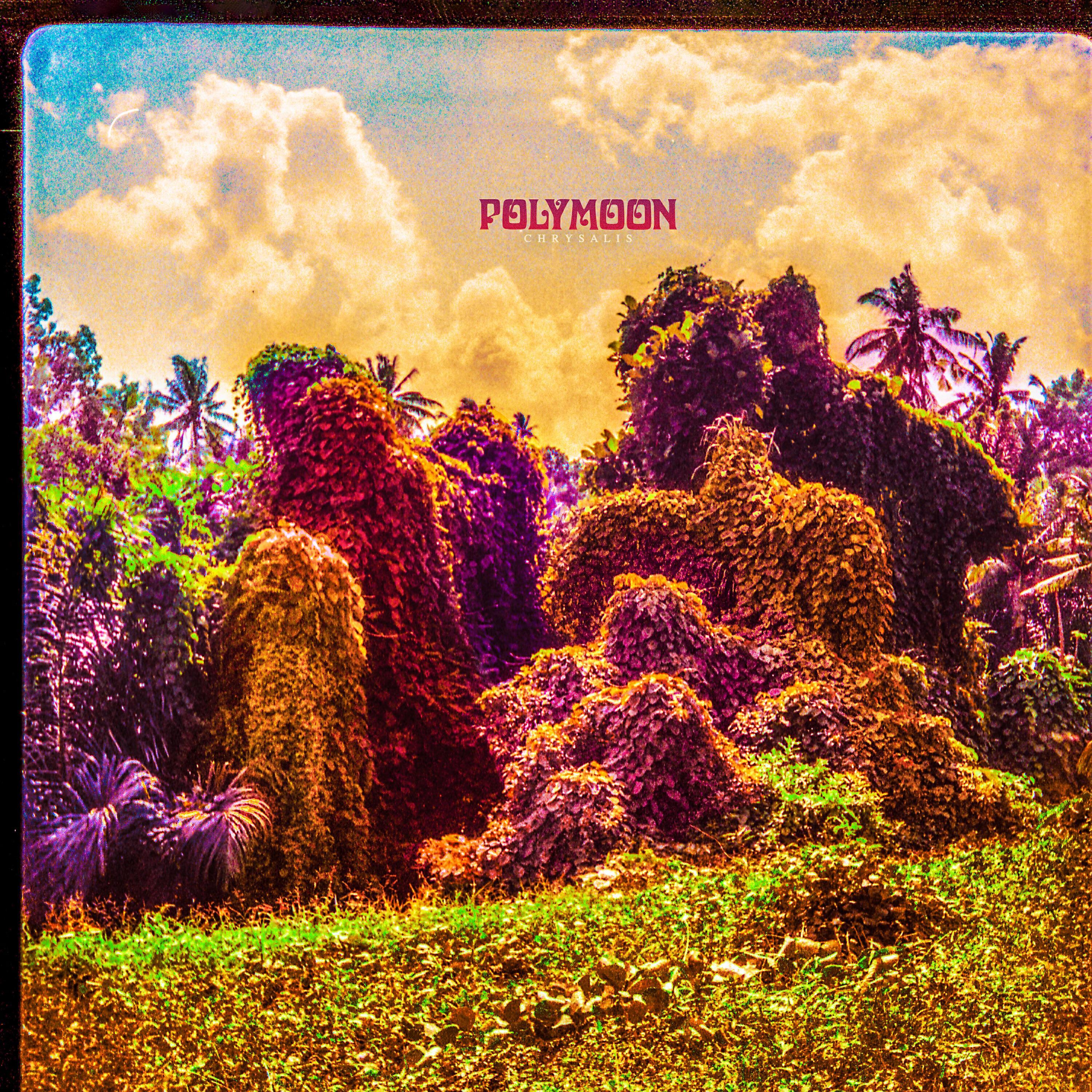 Polymoon