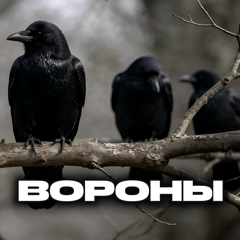 Трек Вороны