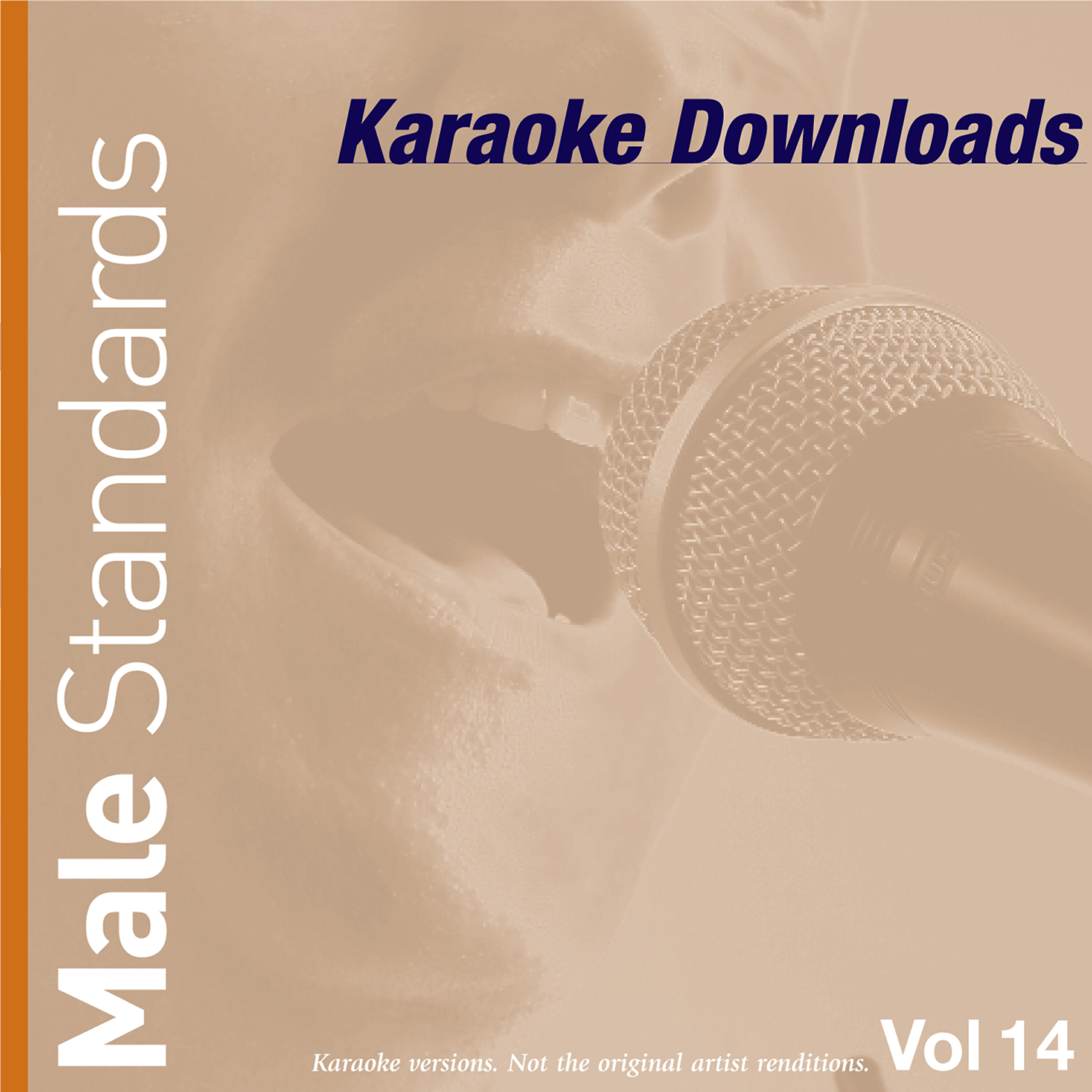 Релиз Karaoke Downloads - Male Standards Vol.14