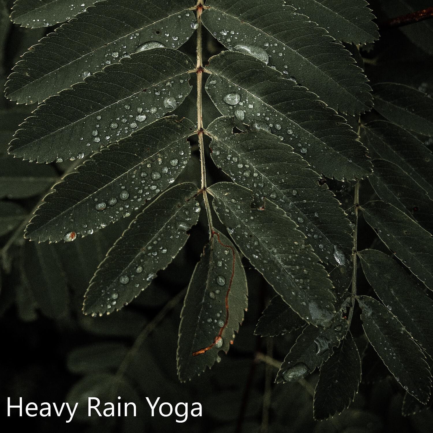 Релиз Heavy Rain Yoga