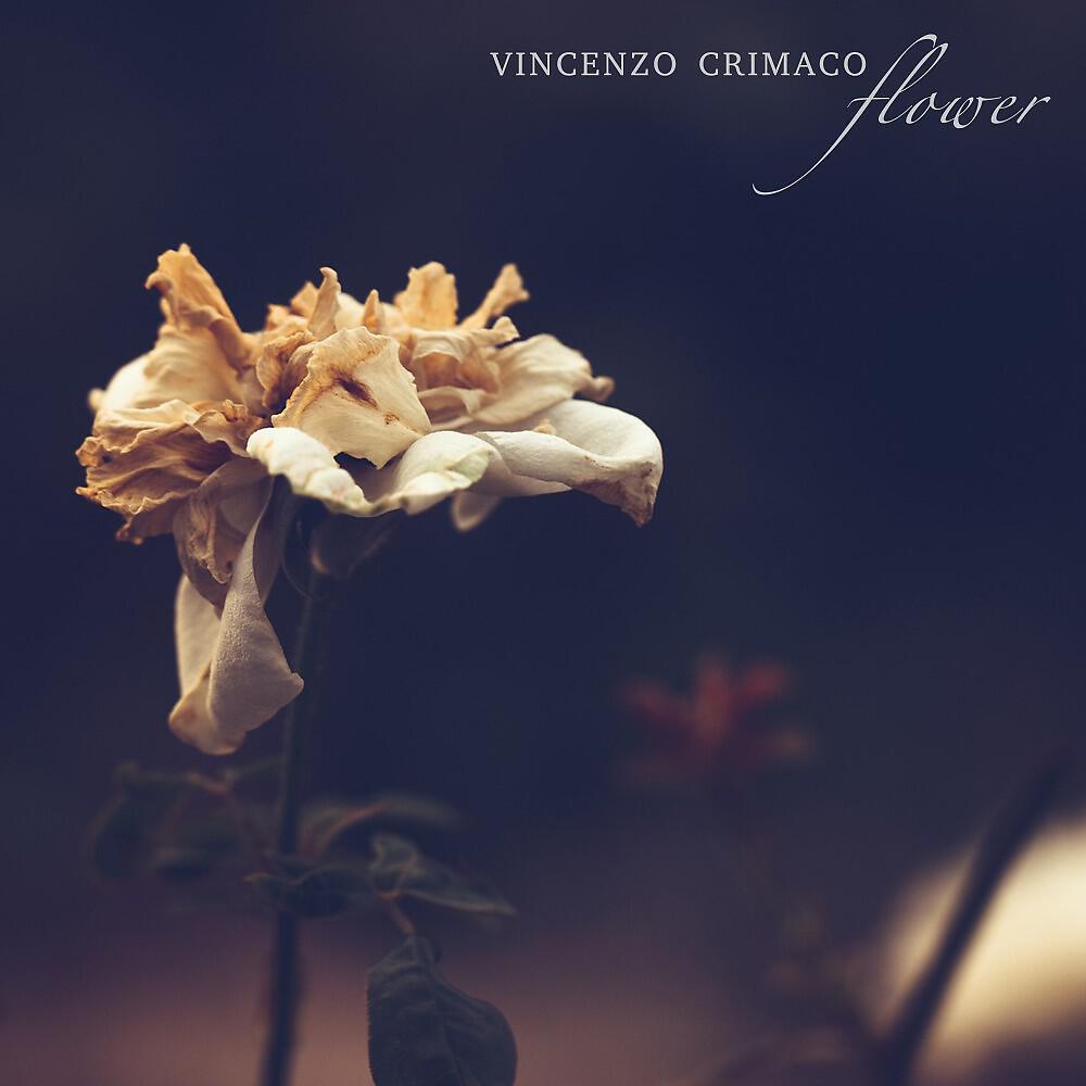 Релиз Flower