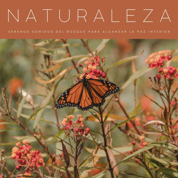 Релиз Naturaleza: Serenos Sonidos Del Bosque Para Alcanzar La Paz Interior