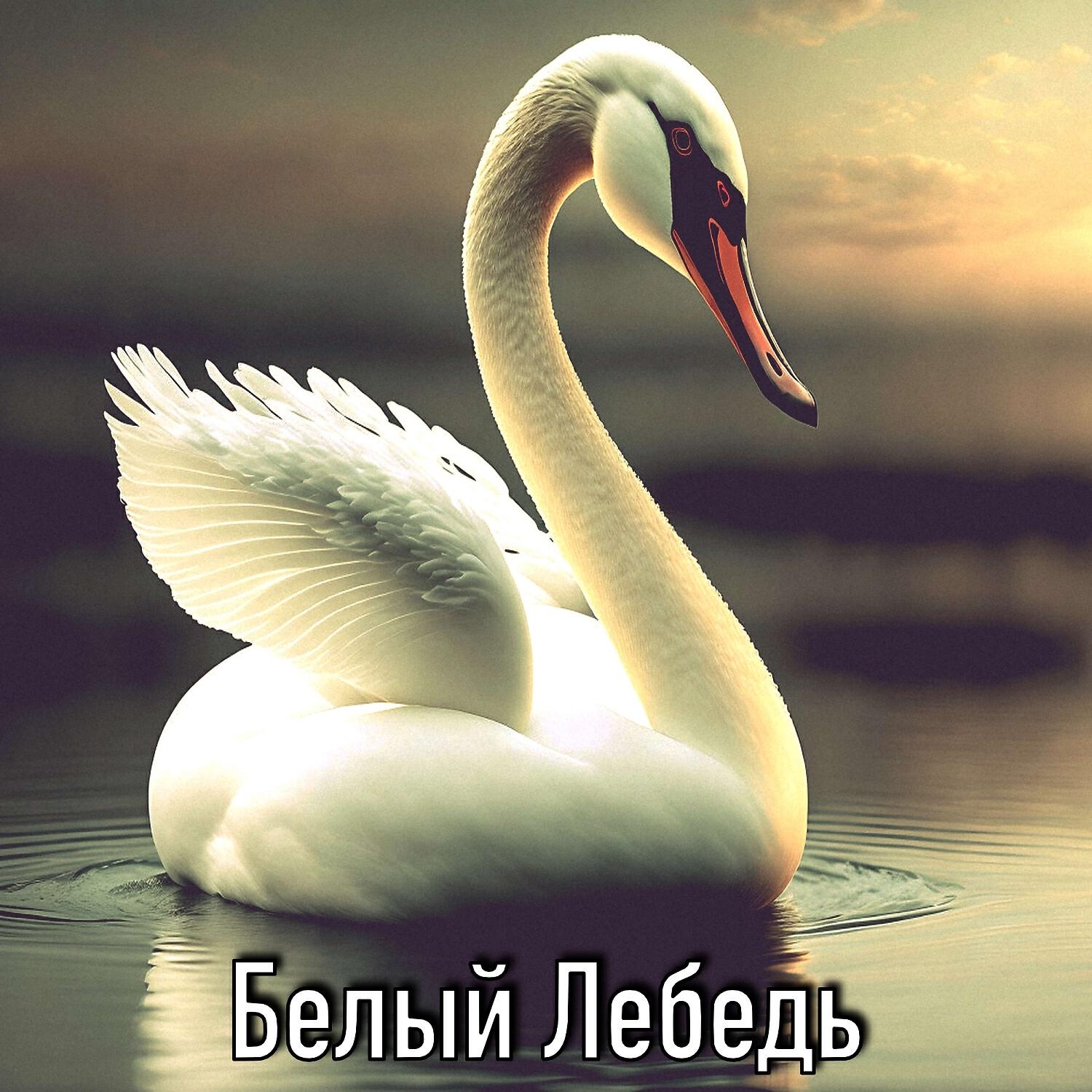 Релиз Молодость