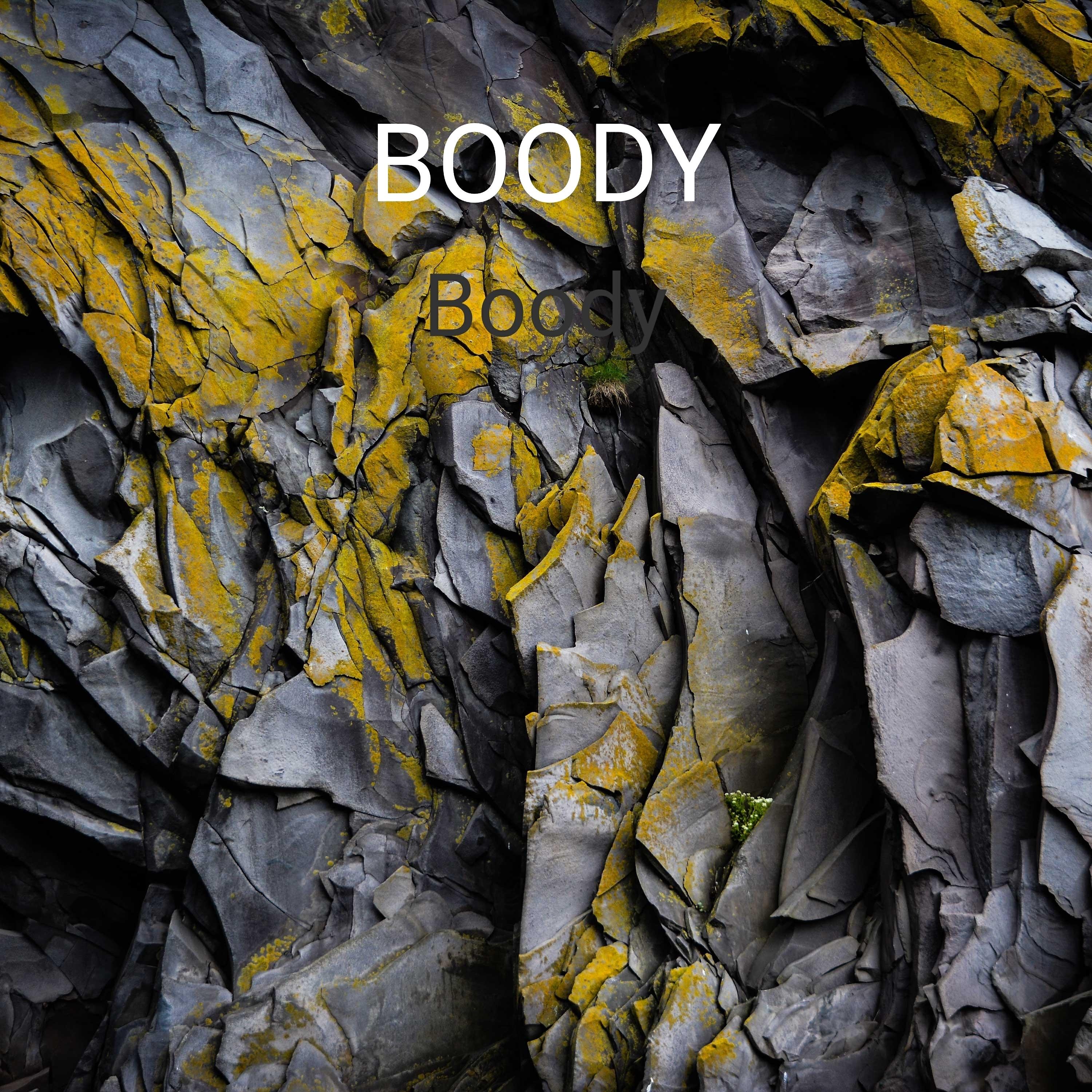 Постер альбома Boody