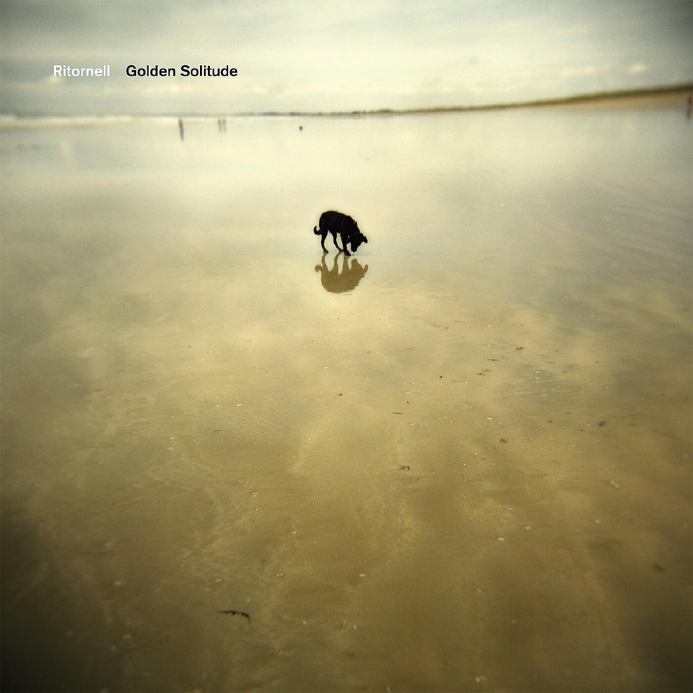 Релиз Golden Solitude