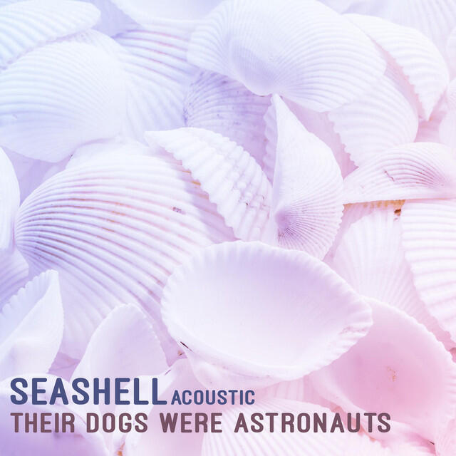 Релиз Seashell (Acoustic Version)