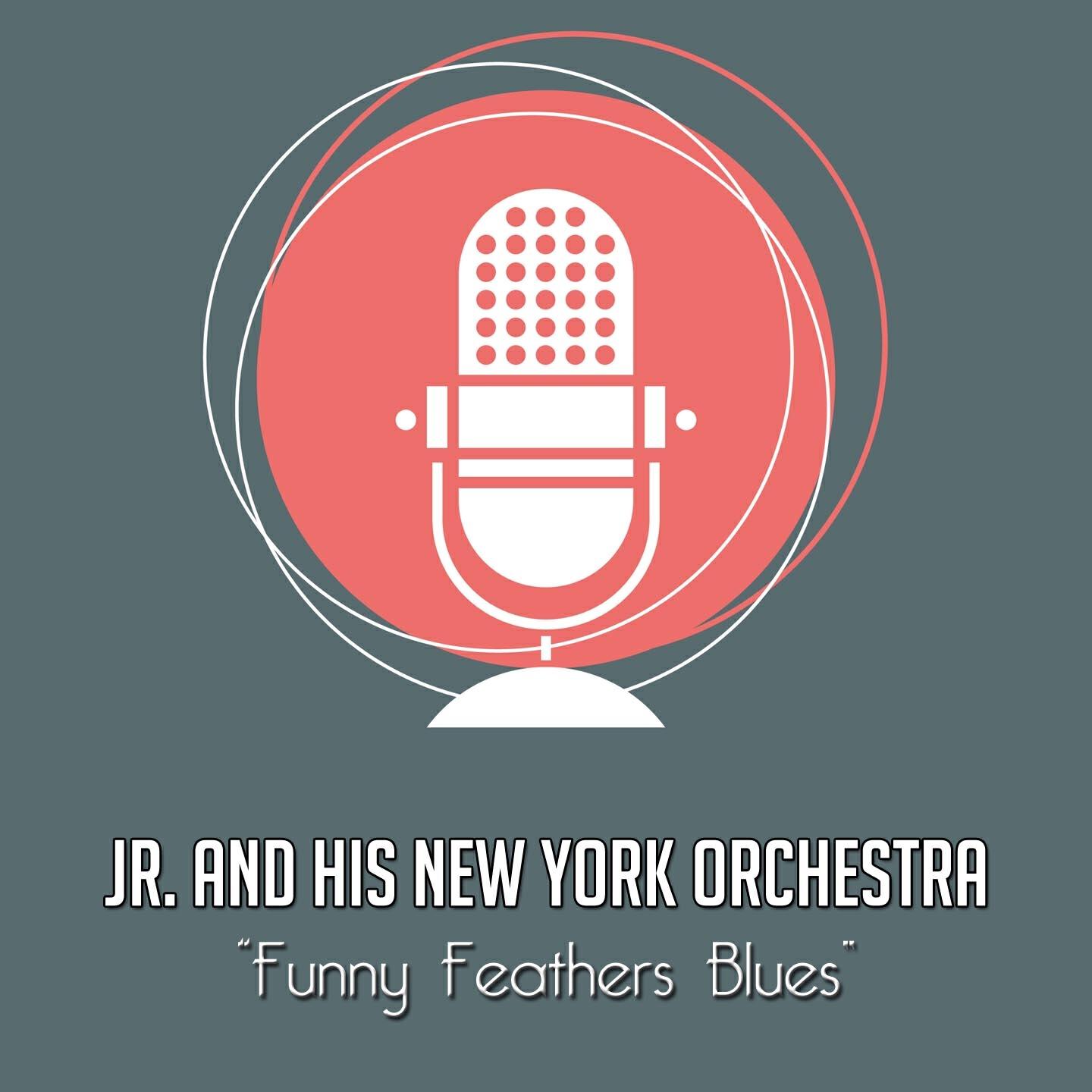 Релиз Funny Feathers Blues
