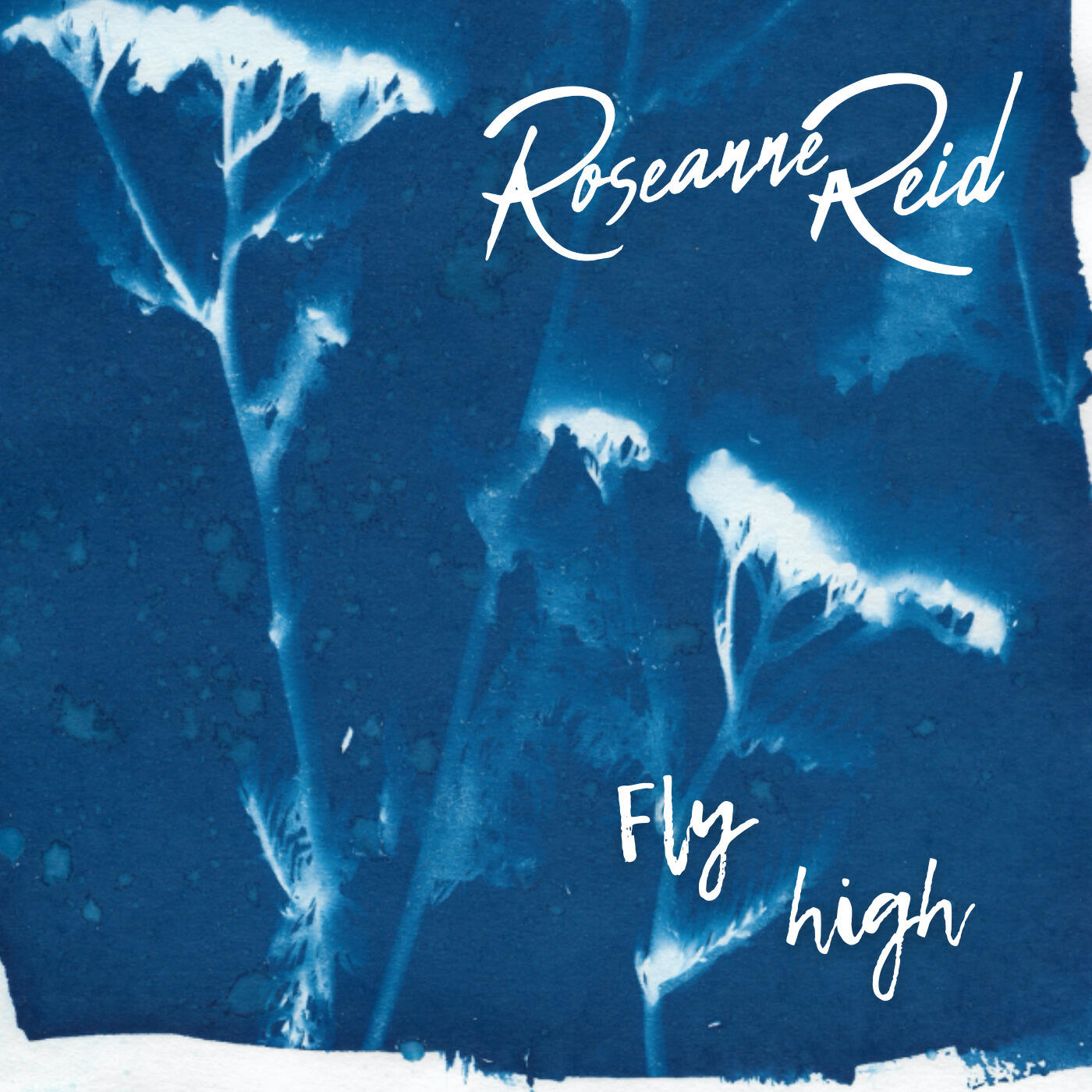 Релиз Fly High