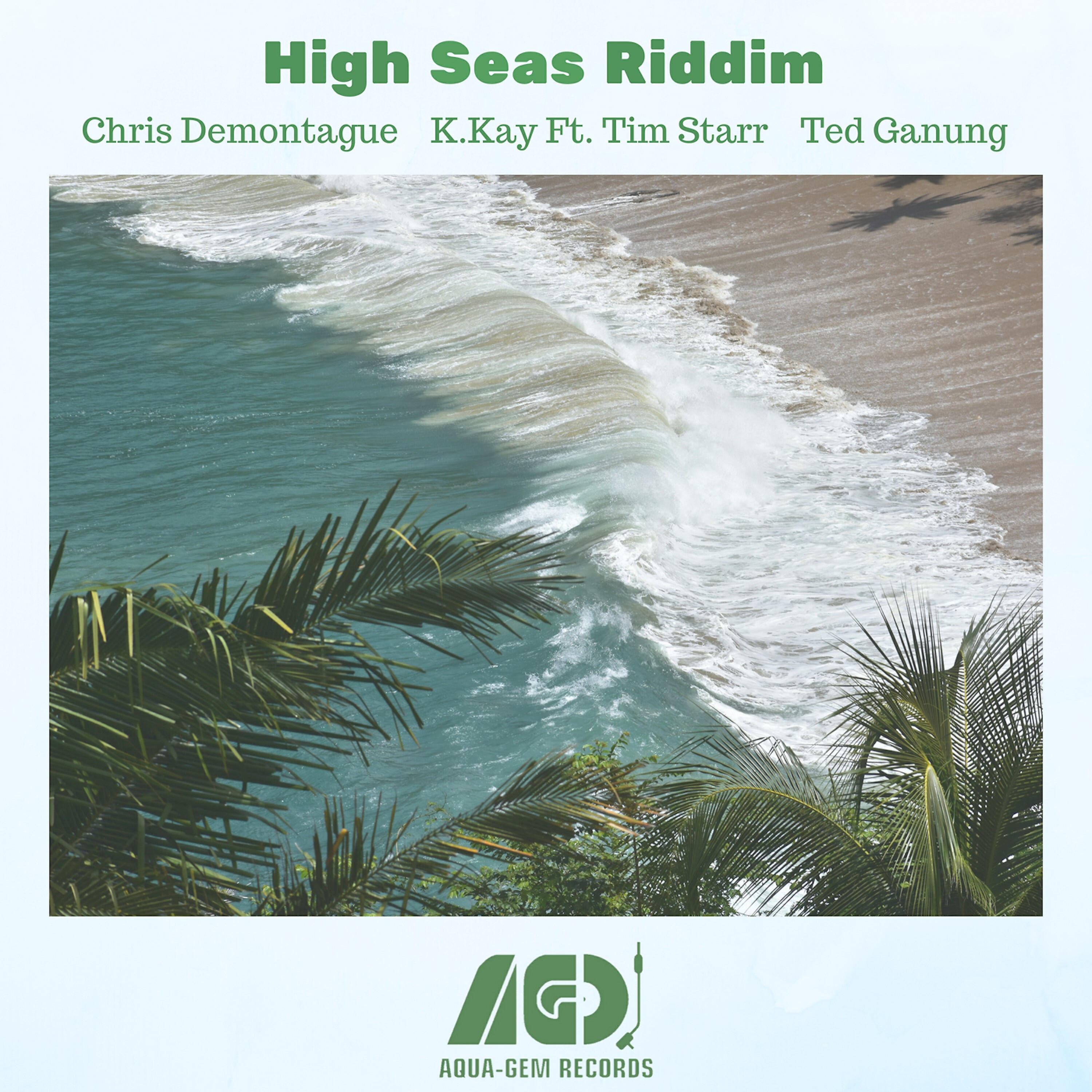 Релиз High Seas Riddim
